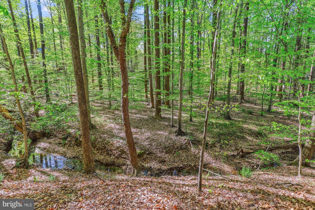 5937 FAIRVIEW WOODS DRIVE