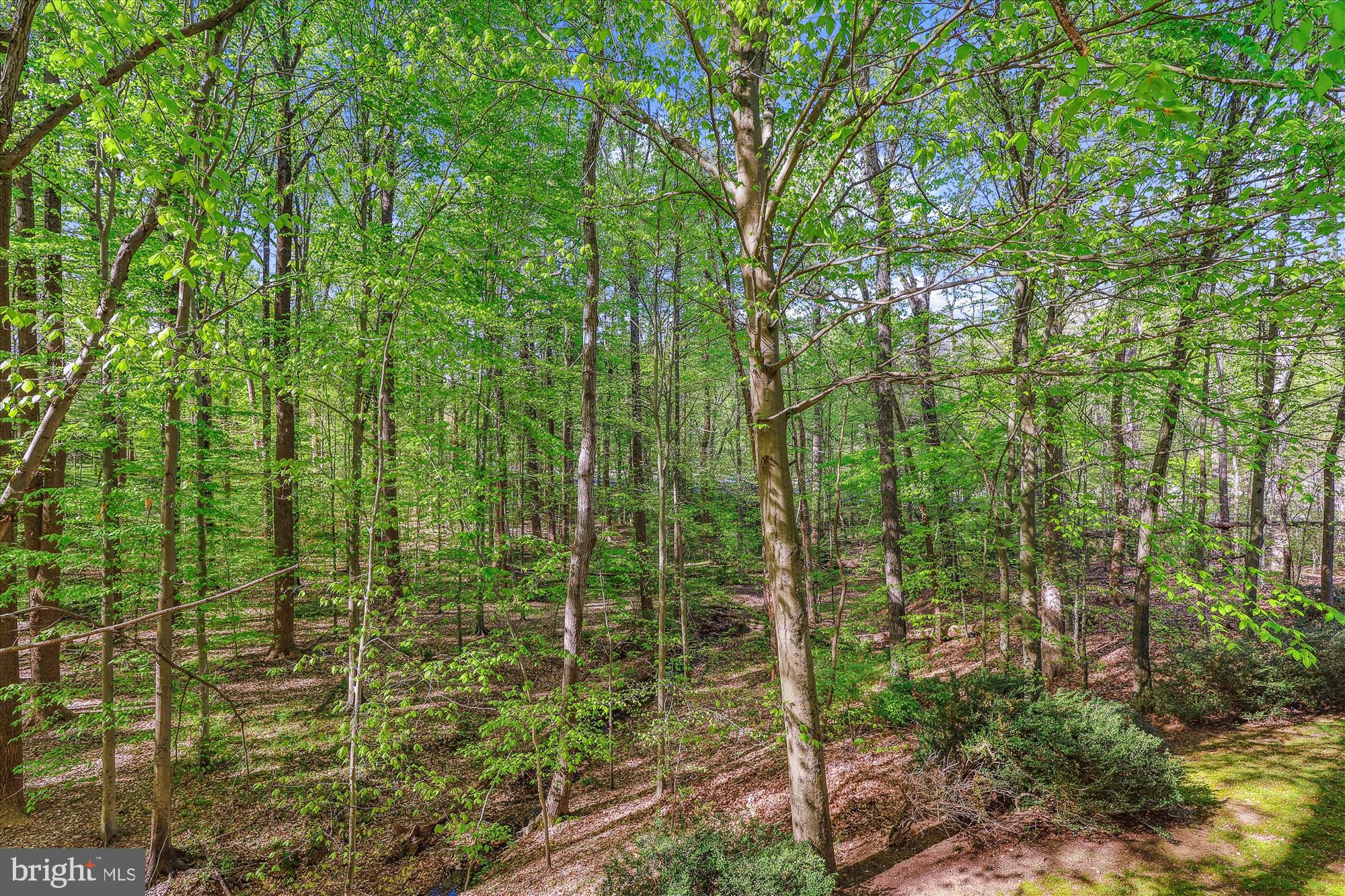 5937 FAIRVIEW WOODS DRIVE