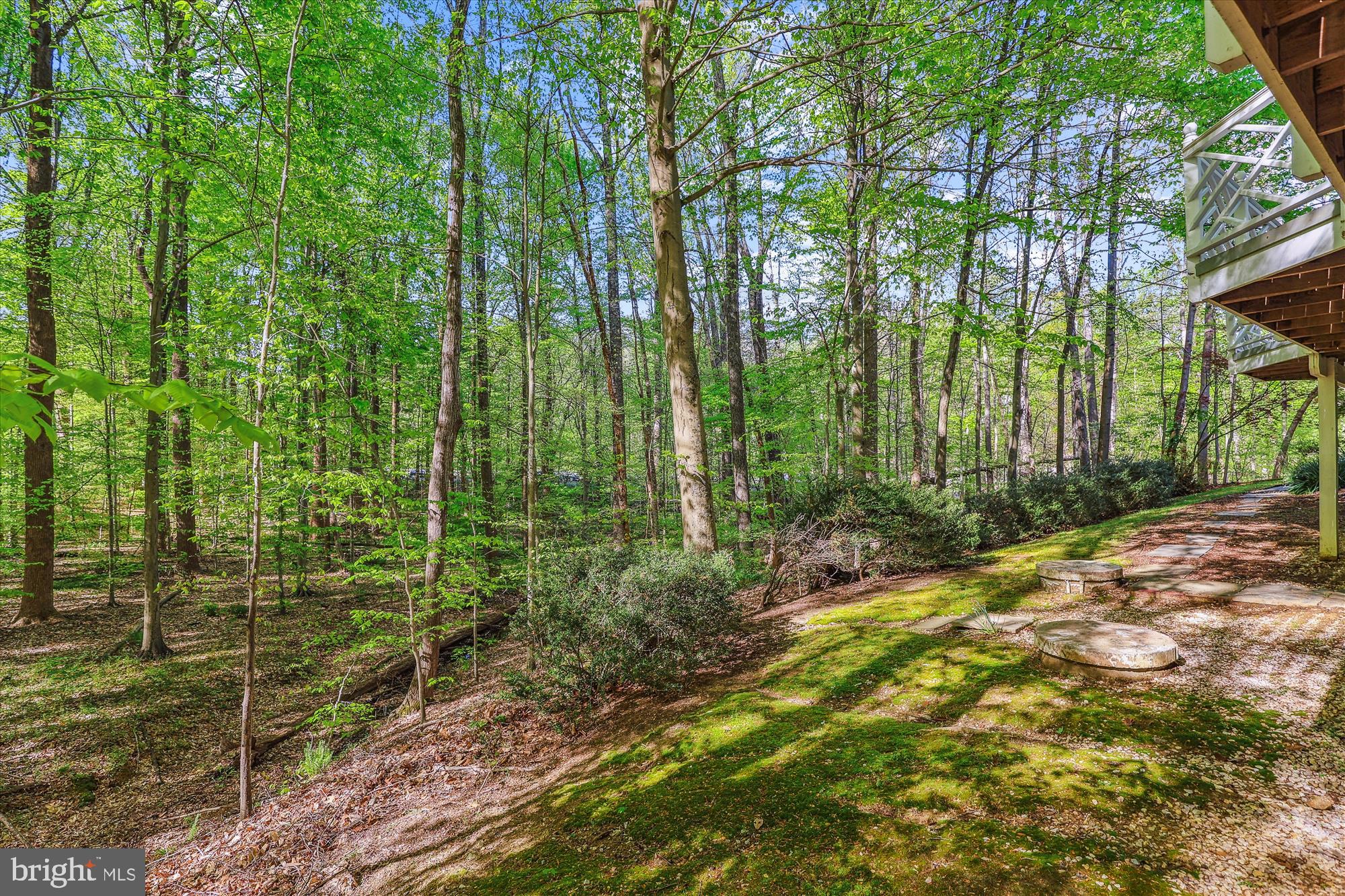 5937 FAIRVIEW WOODS DRIVE