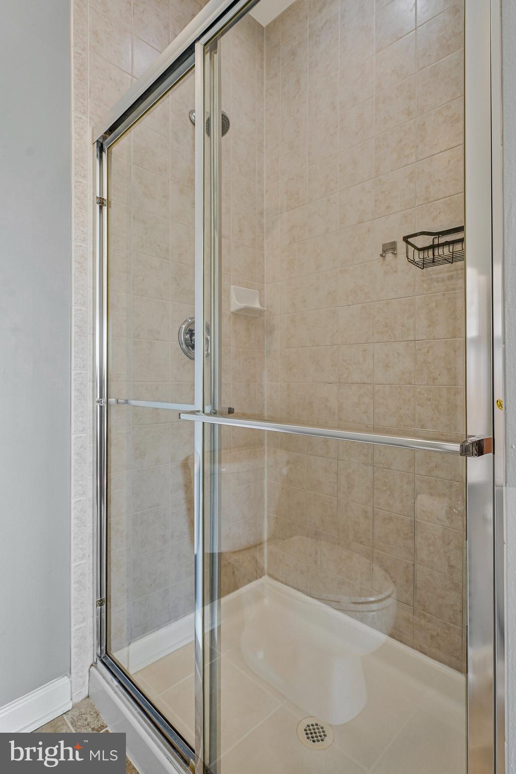 19086 PILEATED TERRACE