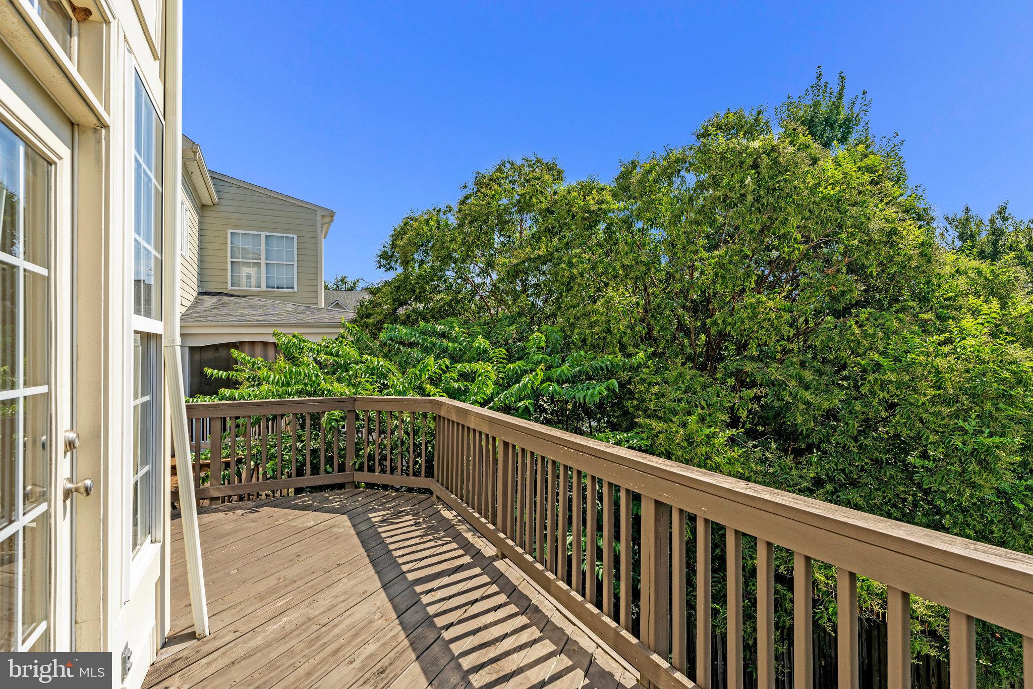 19086 PILEATED TERRACE