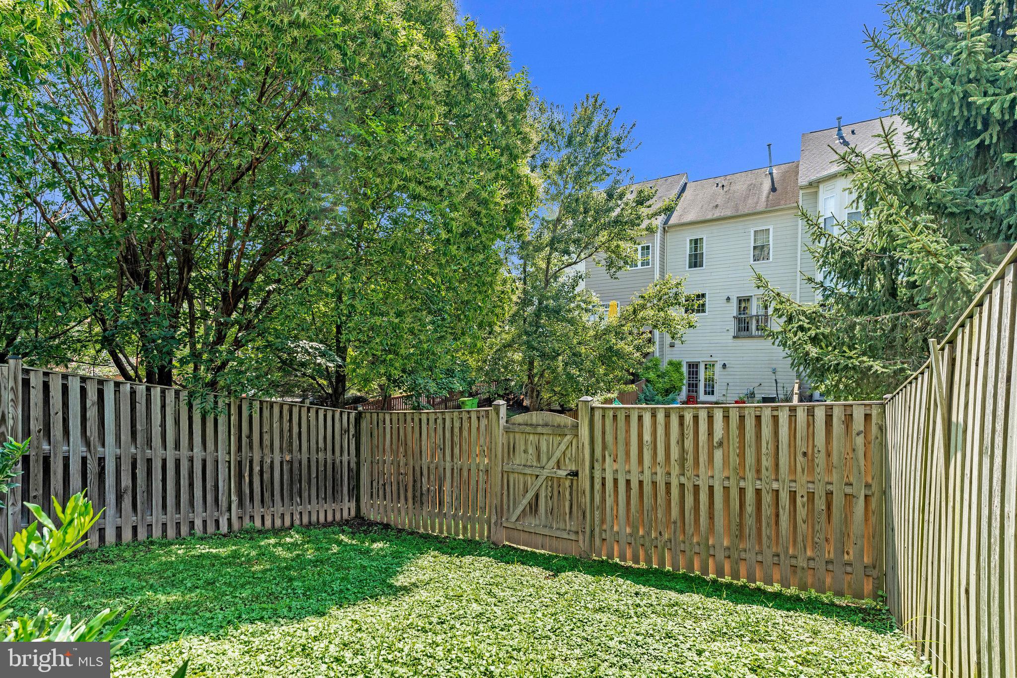 19086 PILEATED TERRACE