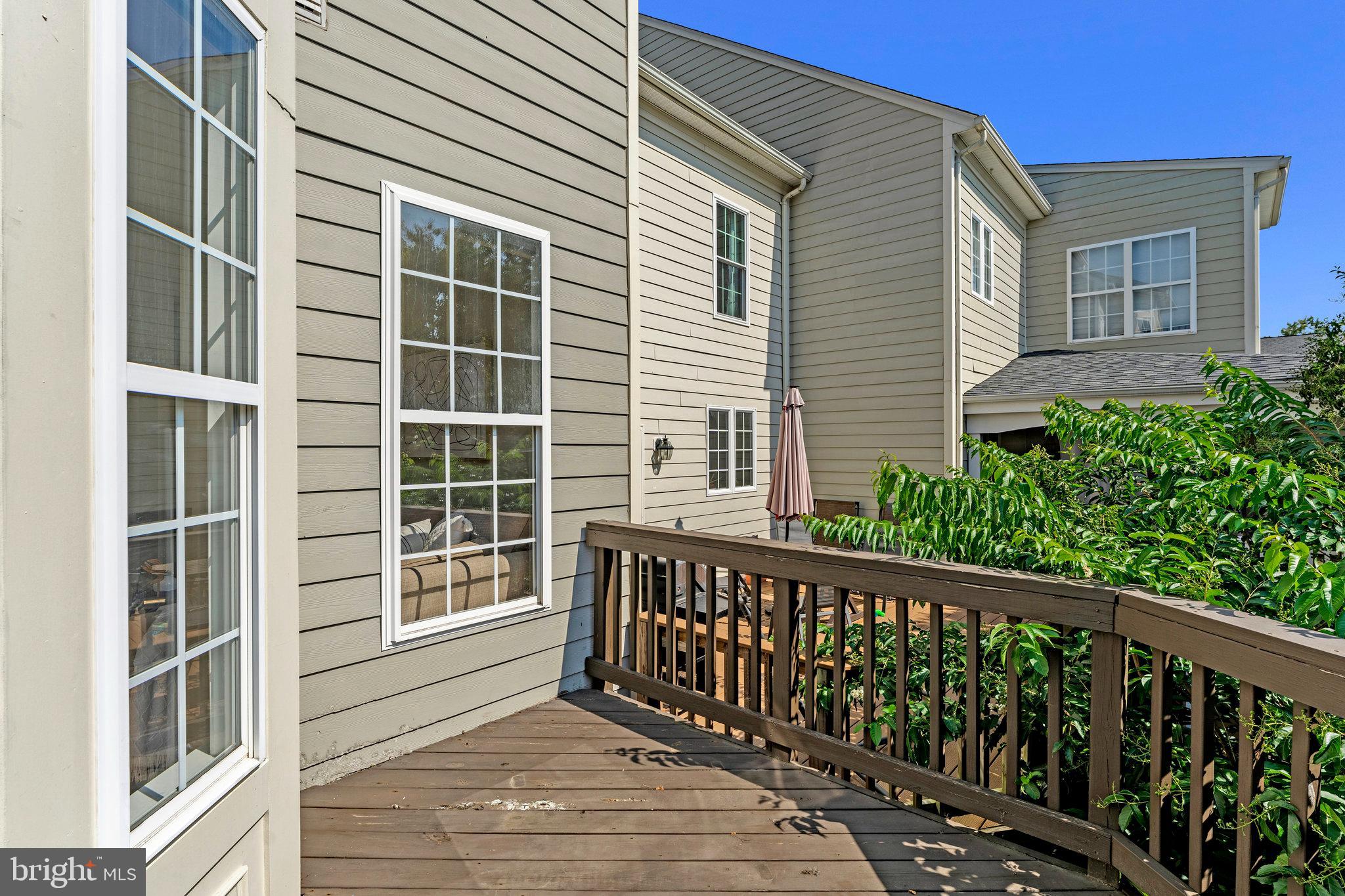 19086 PILEATED TERRACE