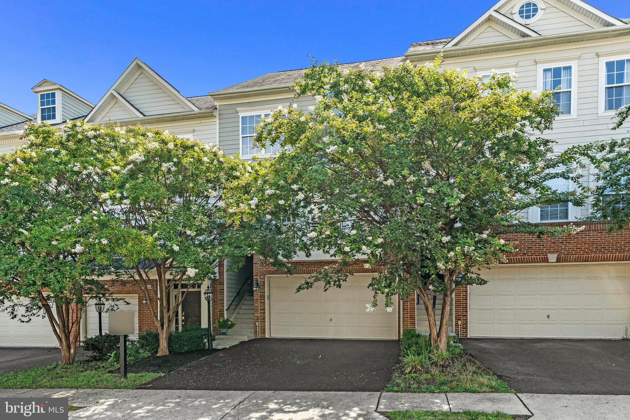 19086 PILEATED TERRACE