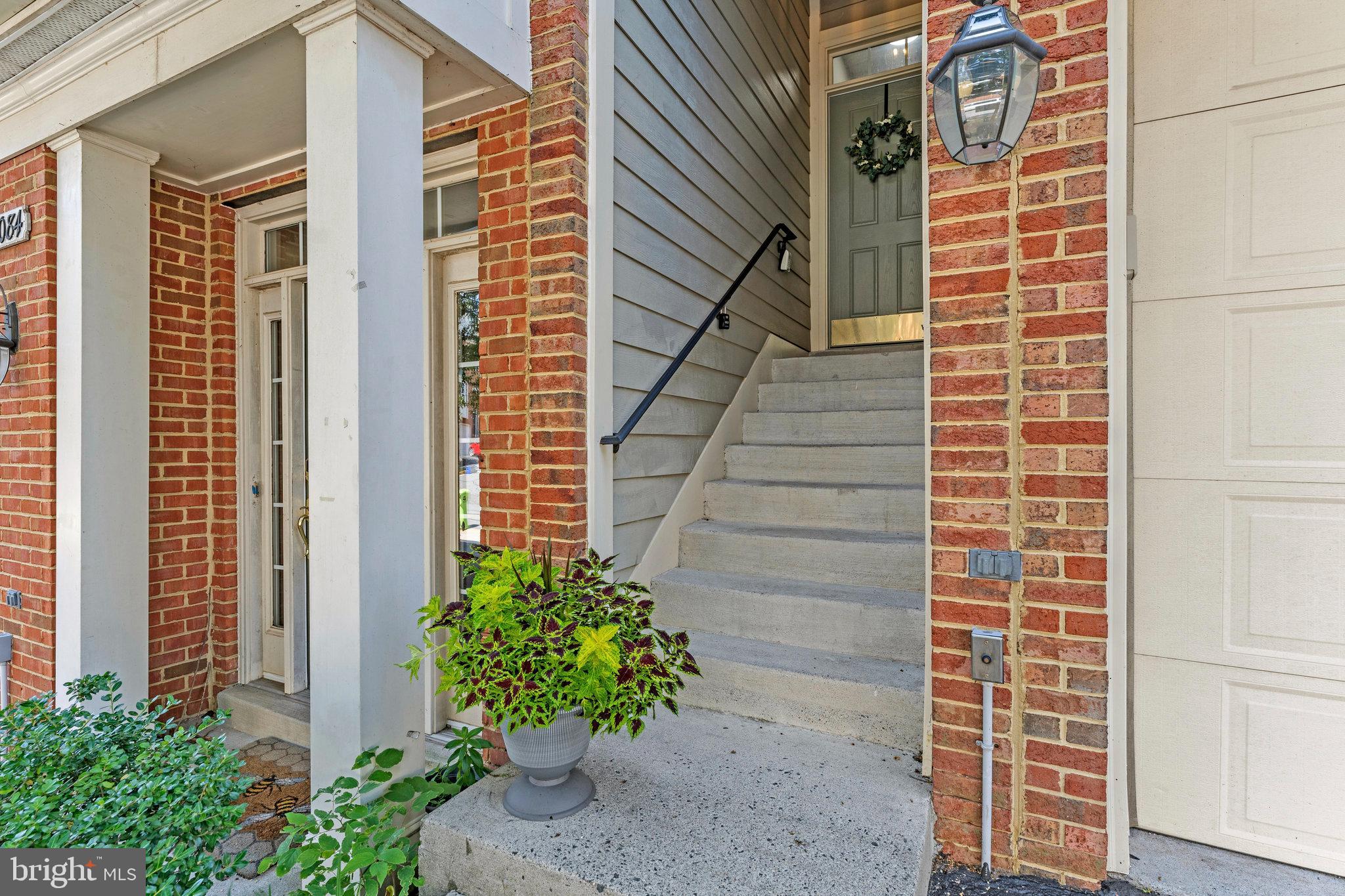 19086 PILEATED TERRACE