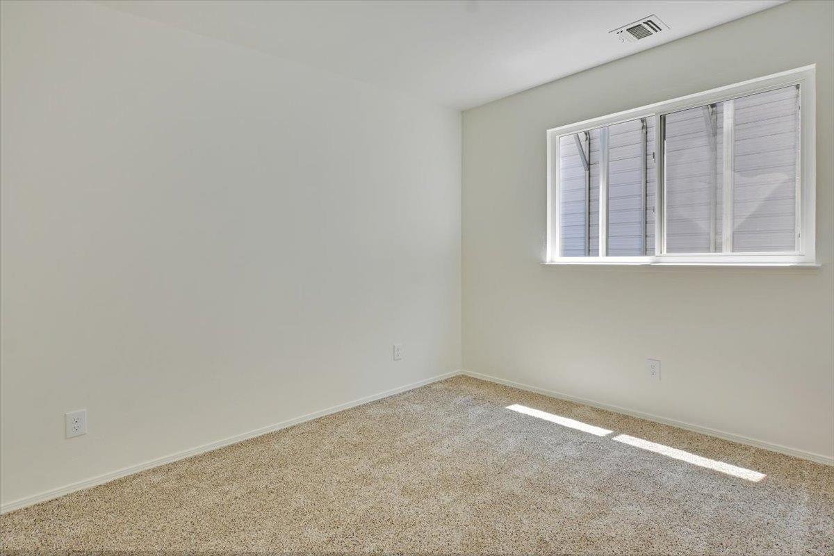 2584 Cedar