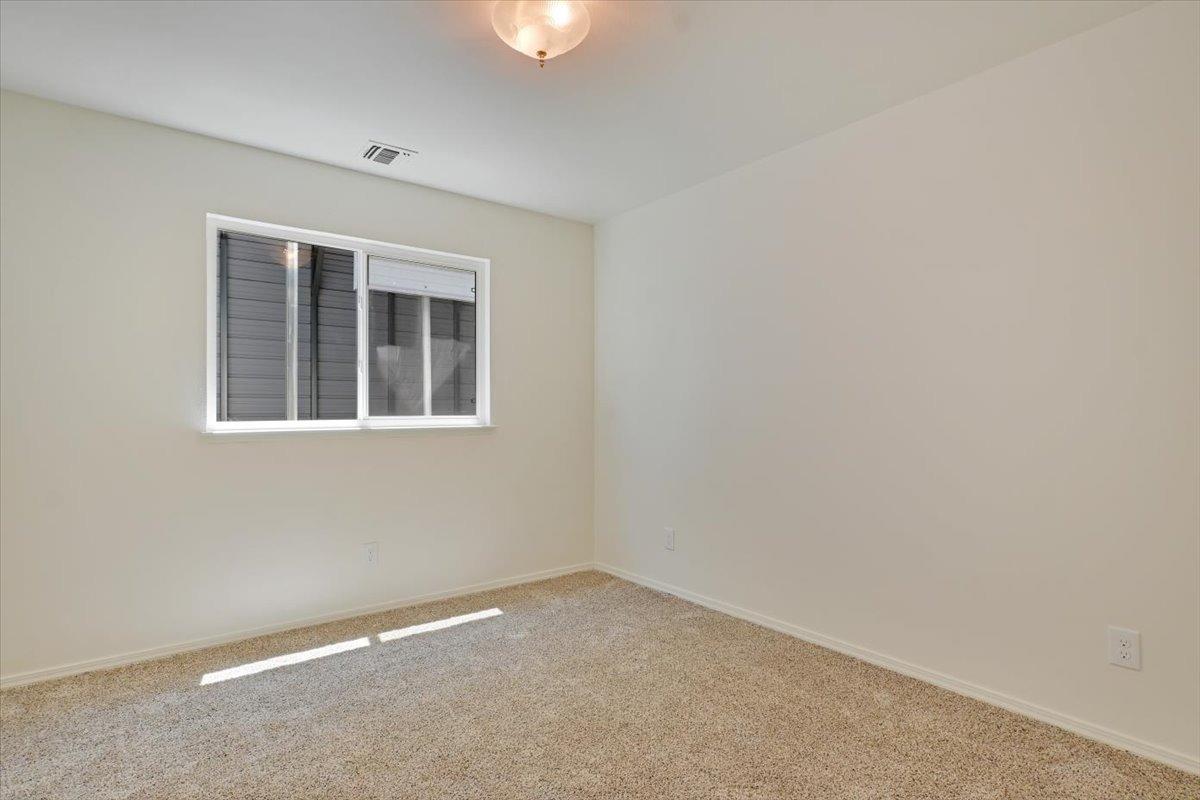 2584 Cedar