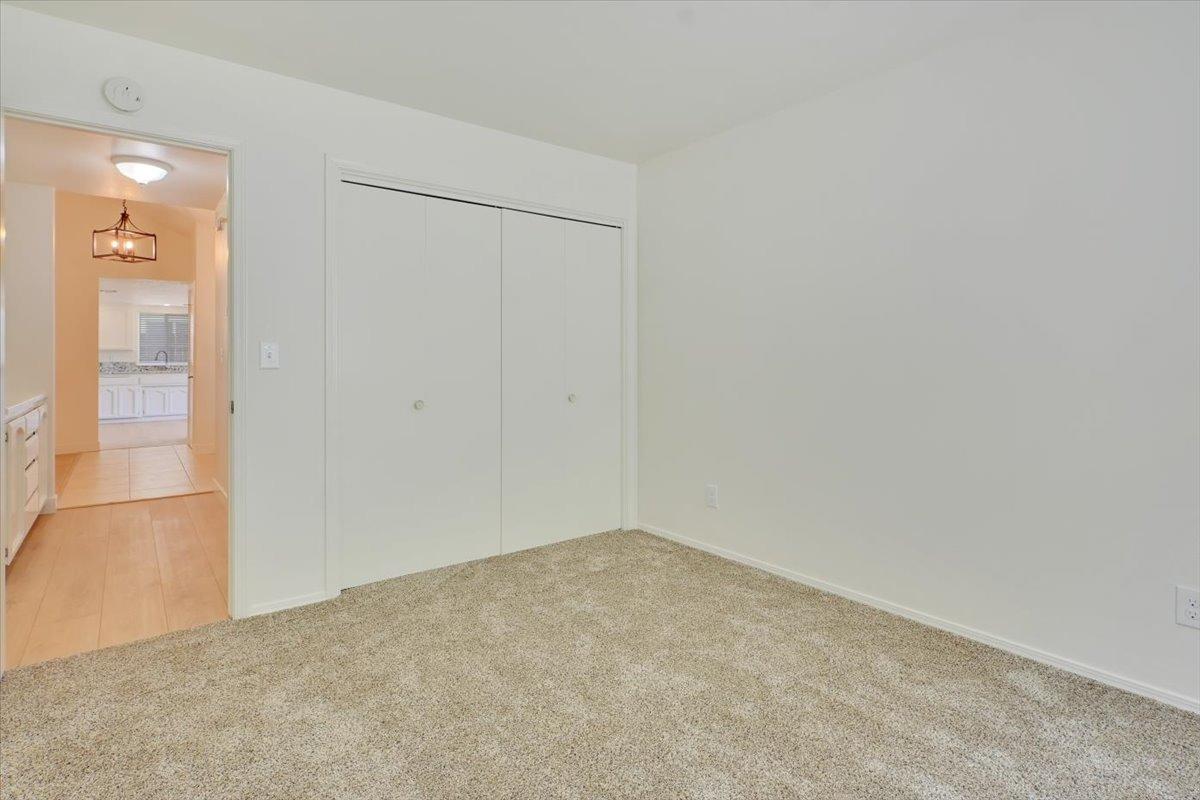 2584 Cedar
