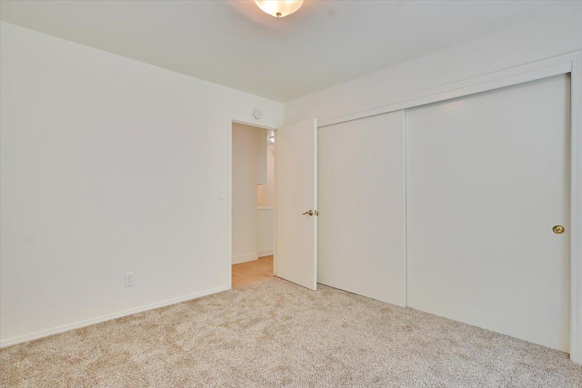 2584 Cedar