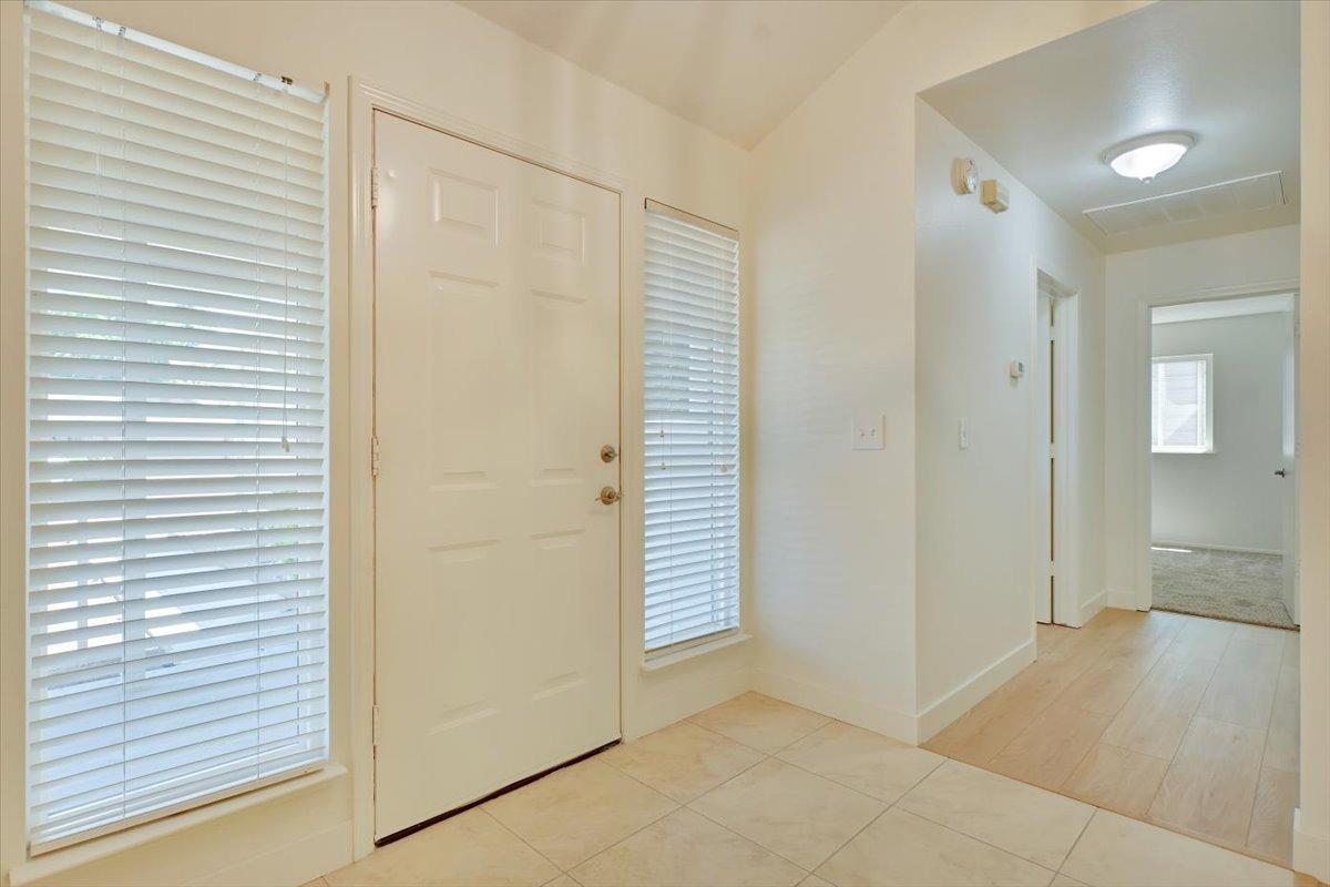 2584 Cedar