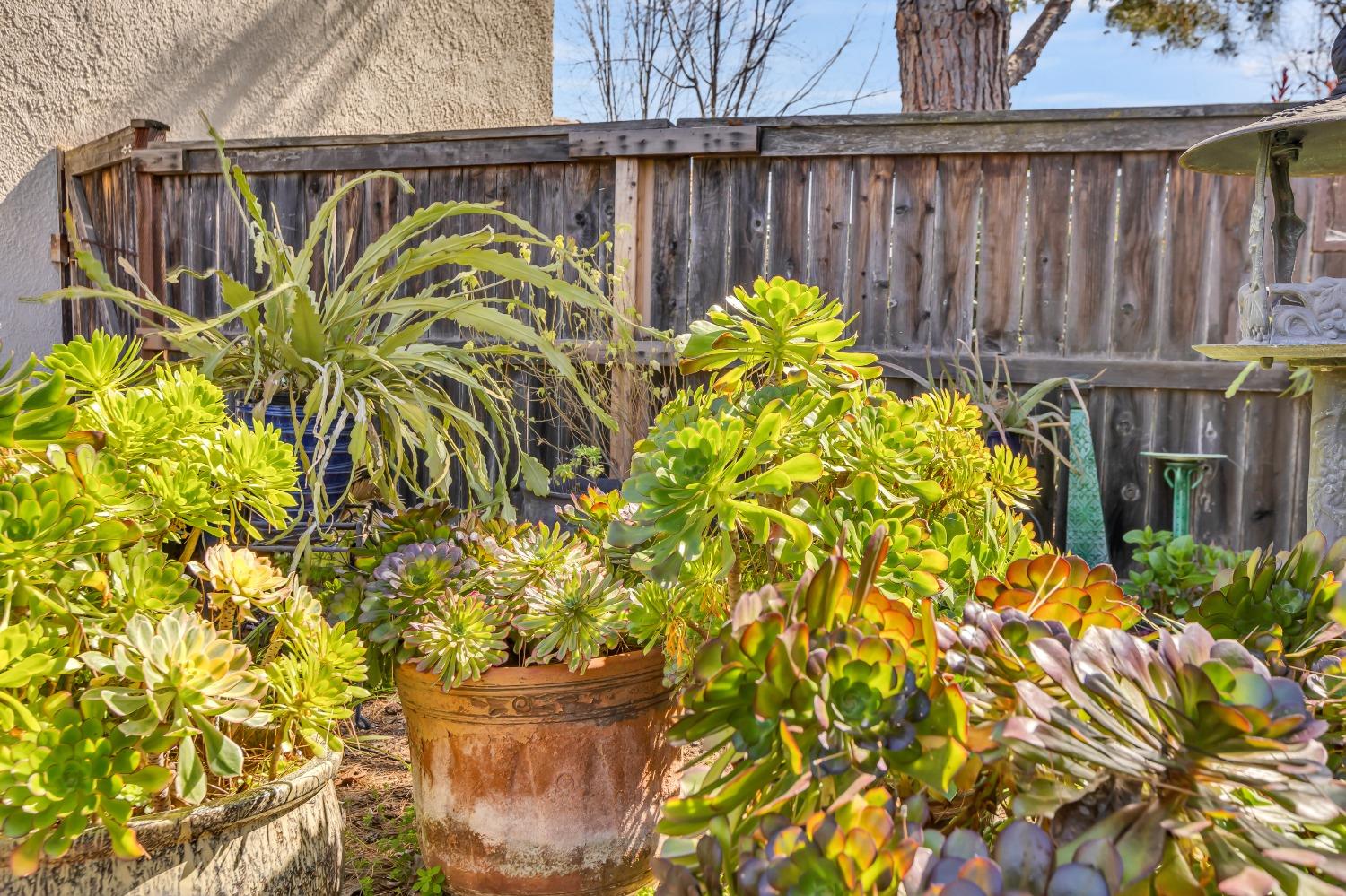 1177 Clemensen Circle