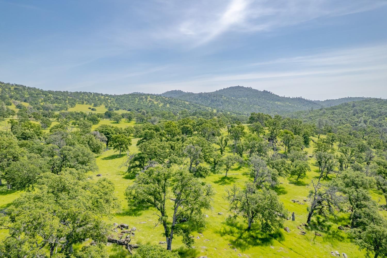 19127 Long Ravine Road