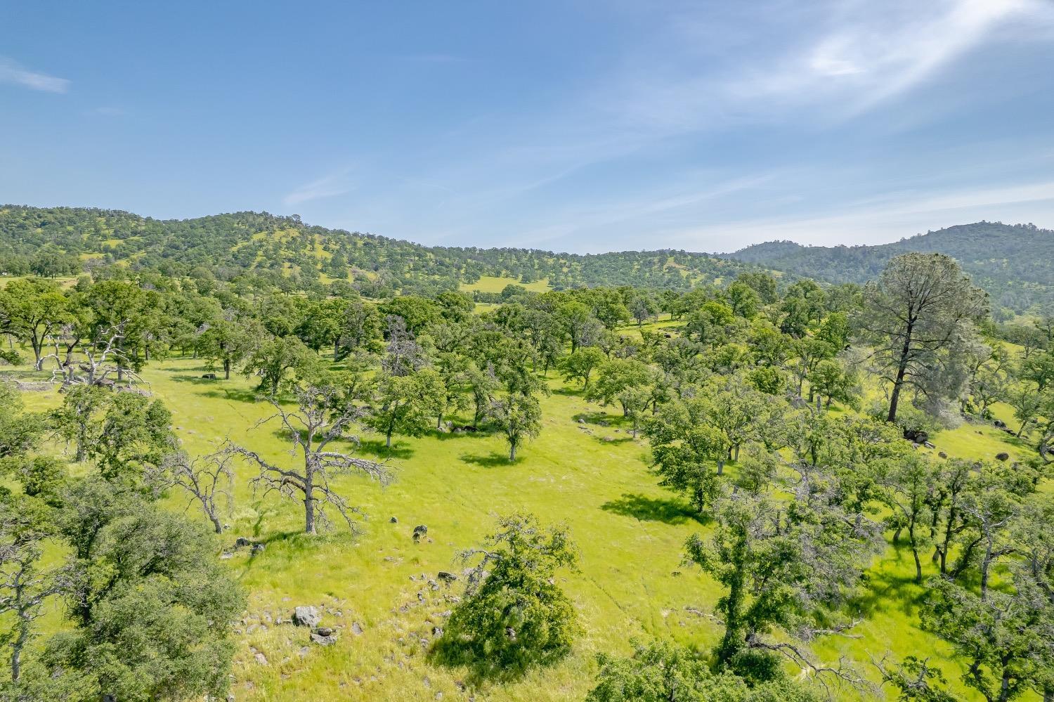 19127 Long Ravine Road