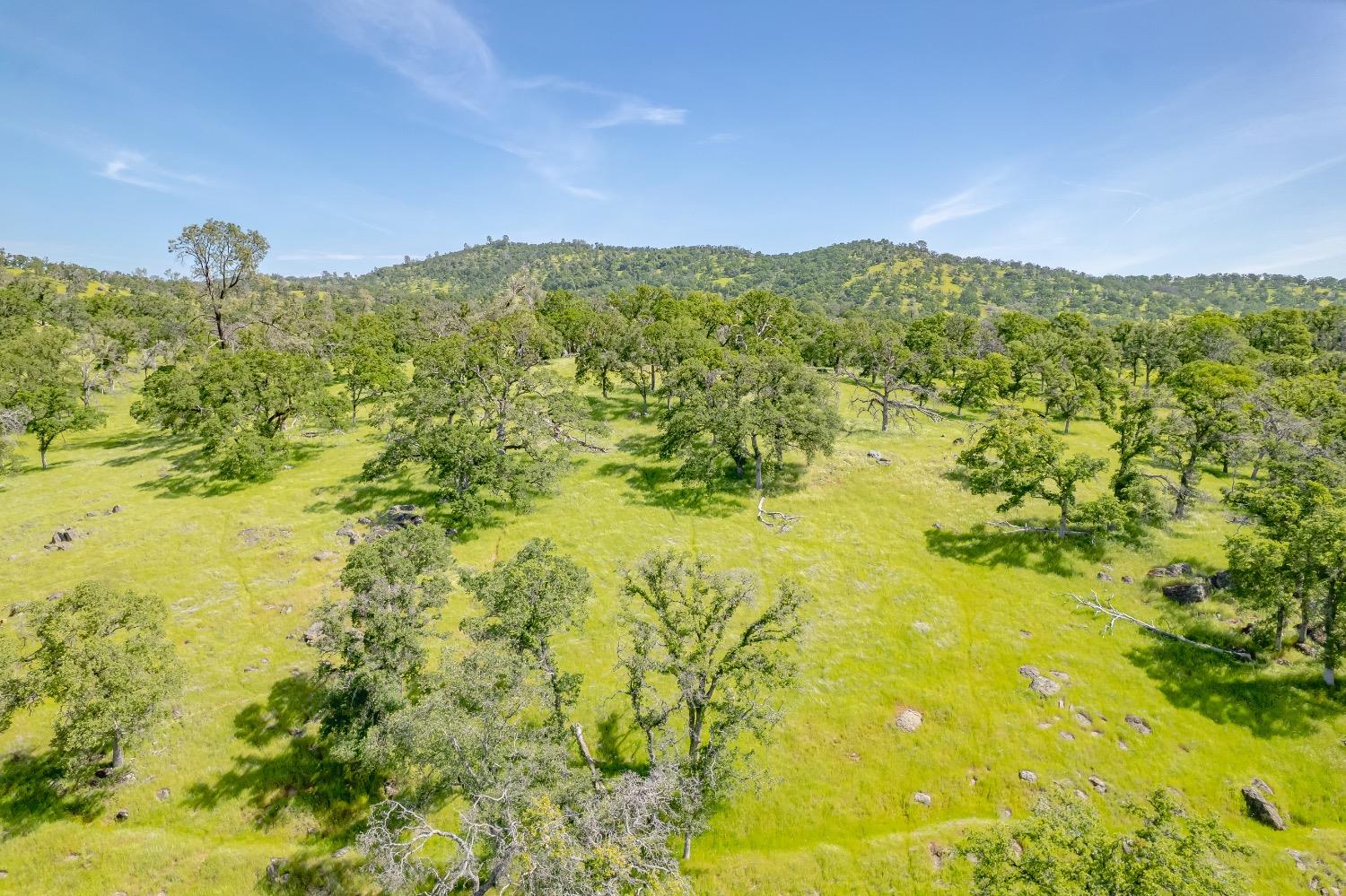19127 Long Ravine Road