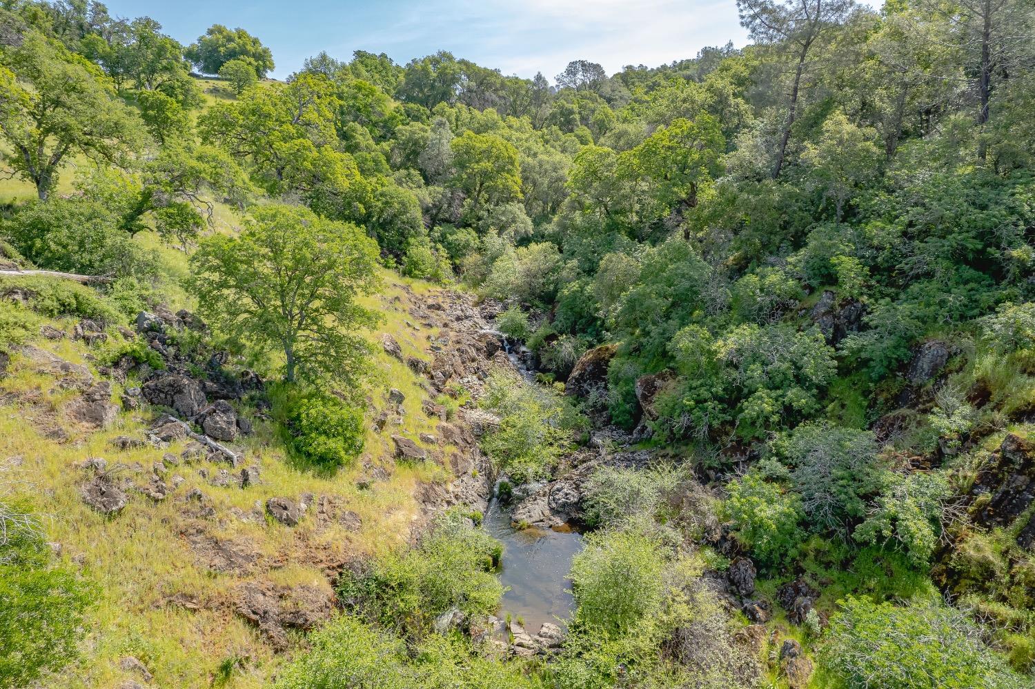 19127 Long Ravine Road