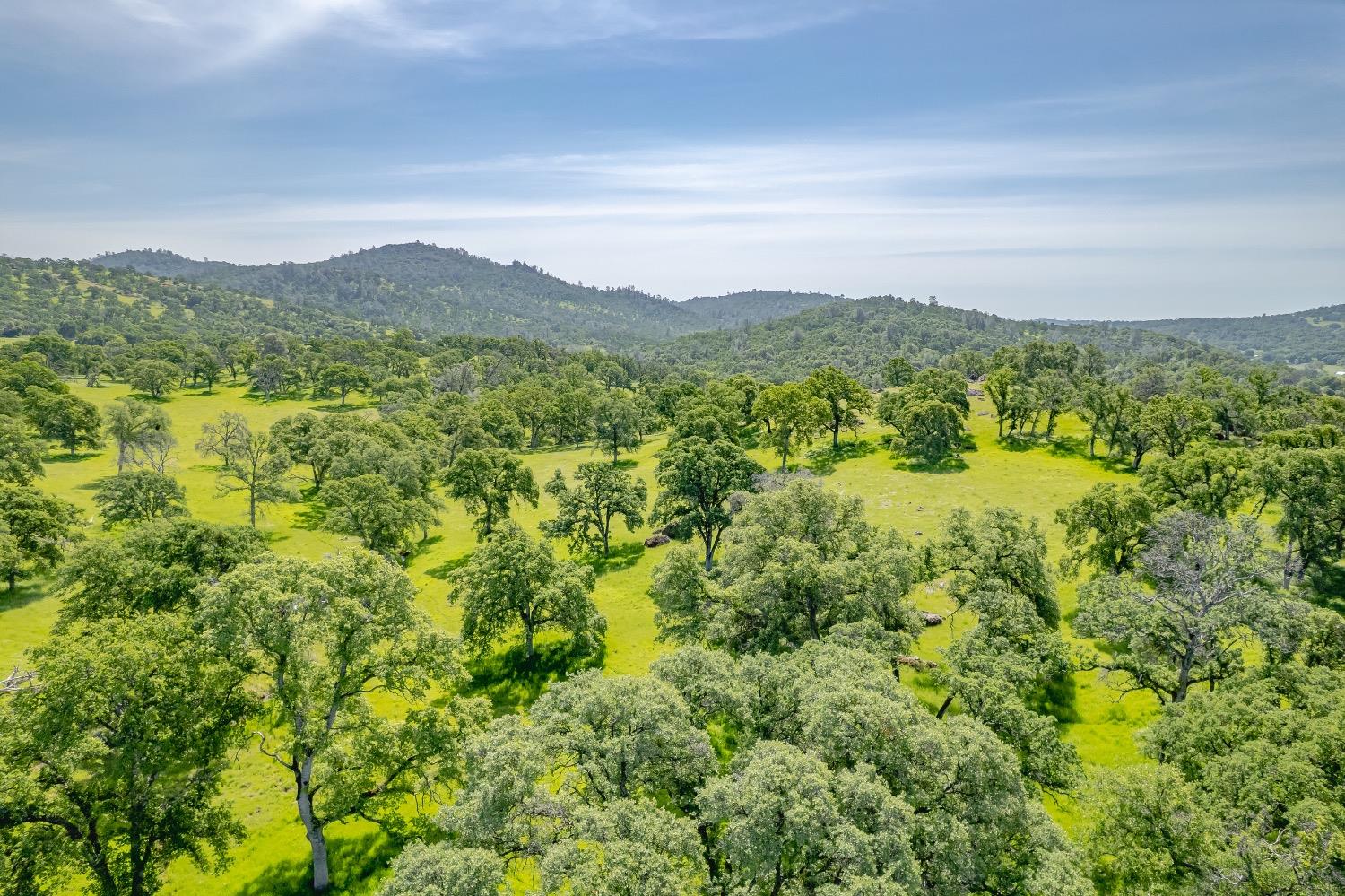 19127 Long Ravine Road
