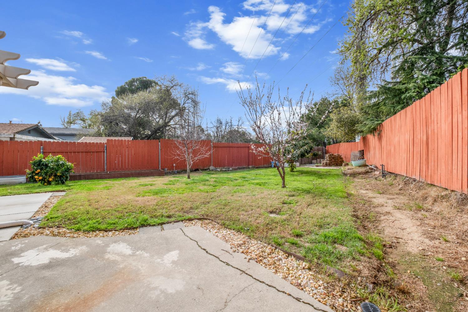 6939 Escallonia Drive