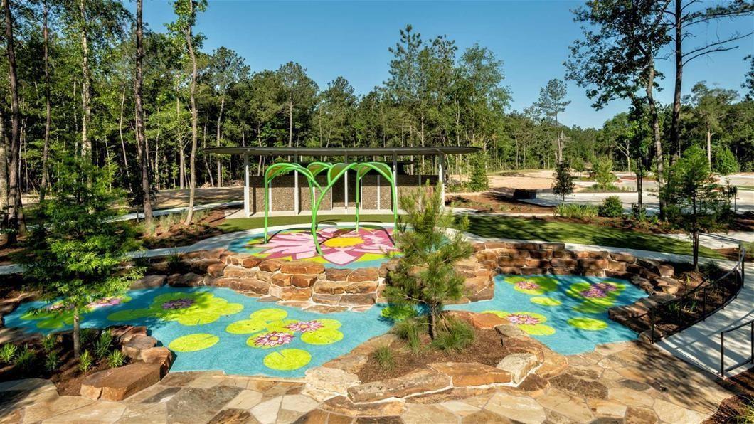15618 Turtlehead Trail