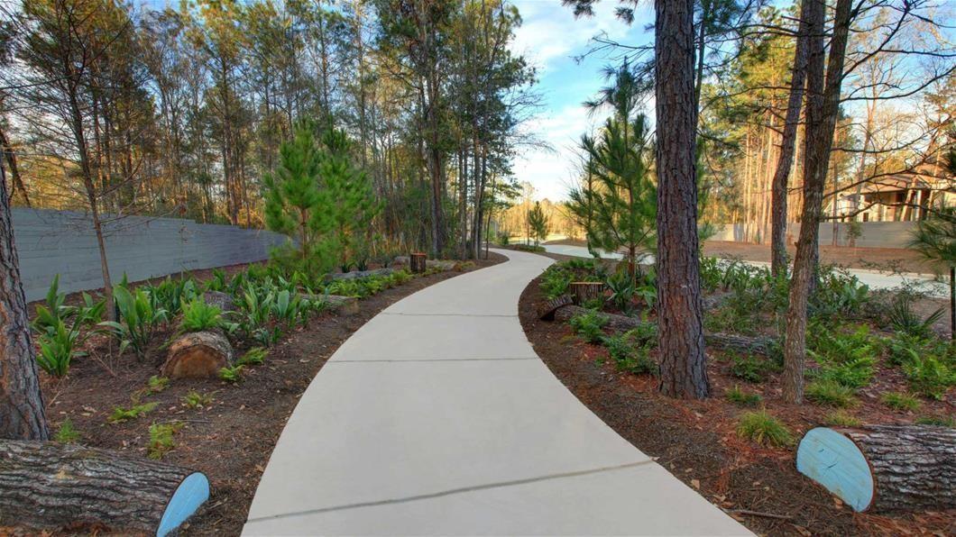15618 Turtlehead Trail