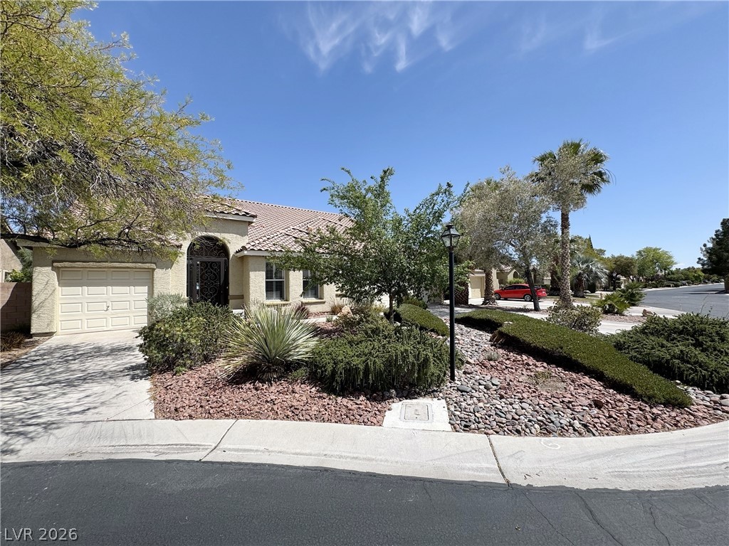 8804 Willow Cabin Street