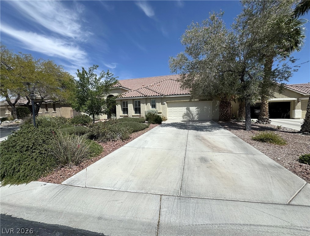 8804 Willow Cabin Street