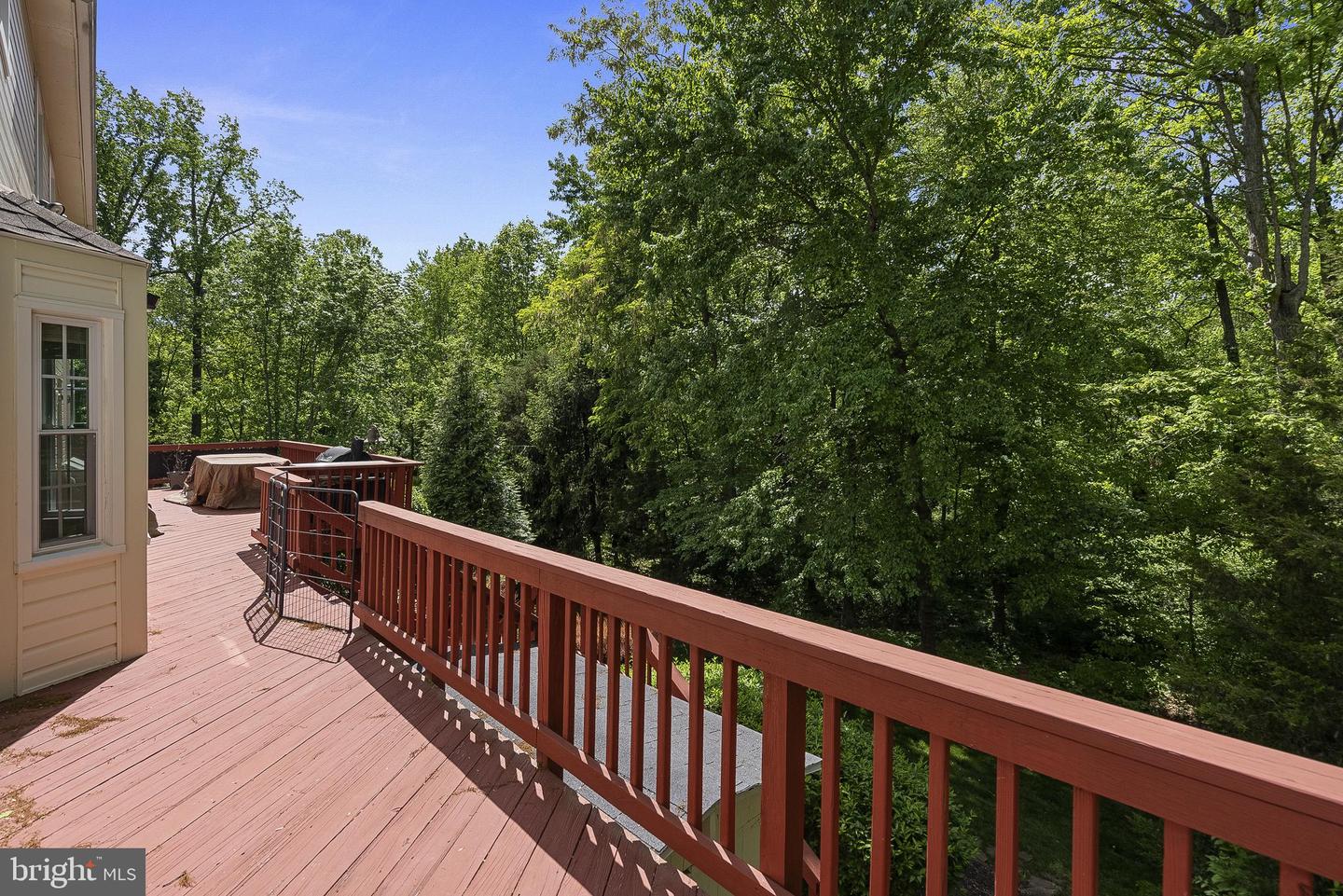 13228 Coralberry Dr