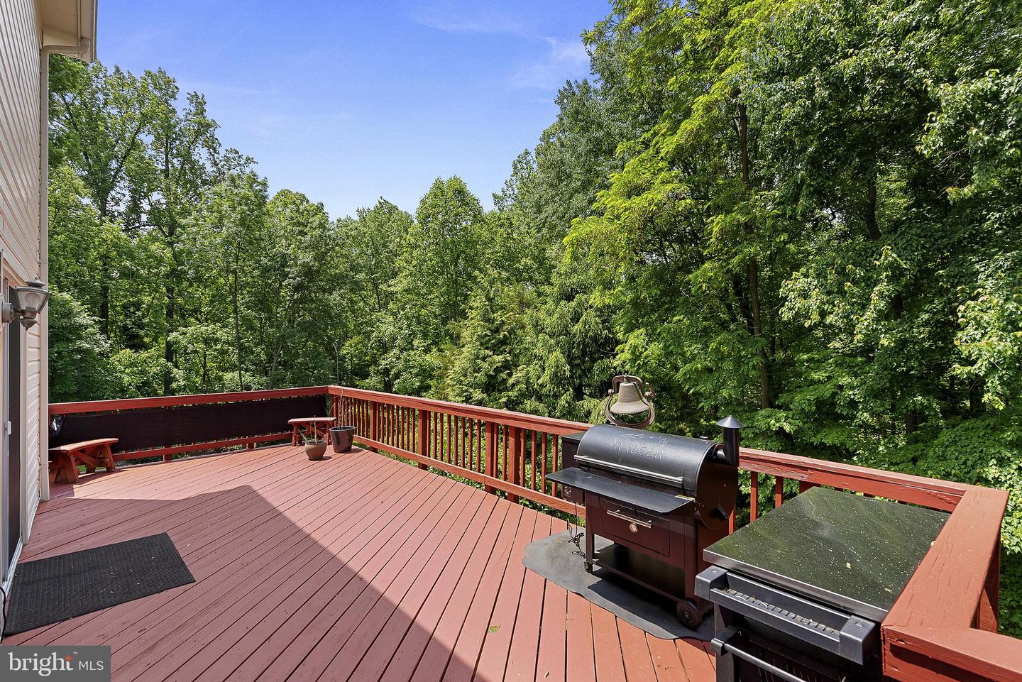 13228 Coralberry Dr