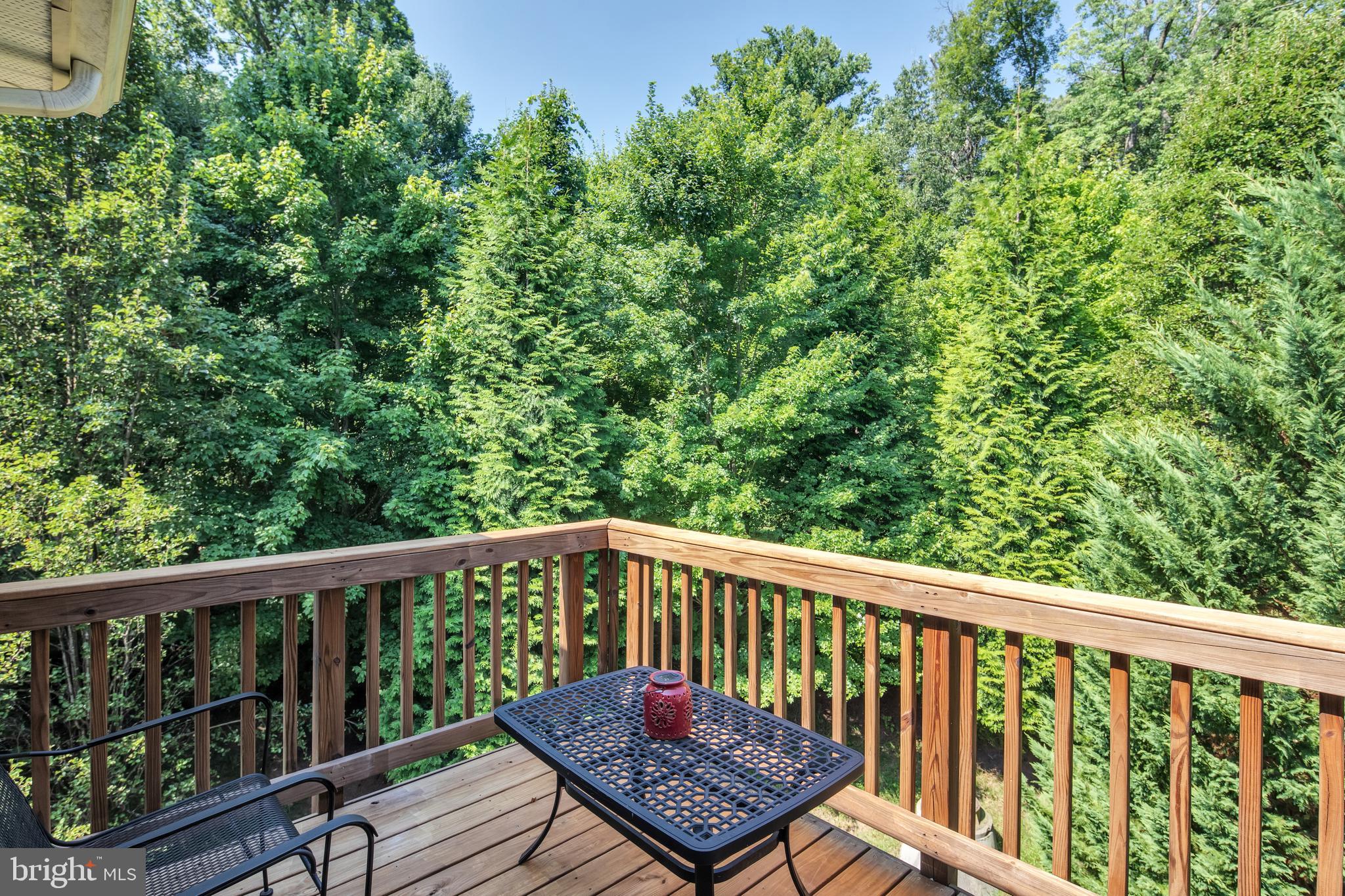 20366 Center Brook Sq