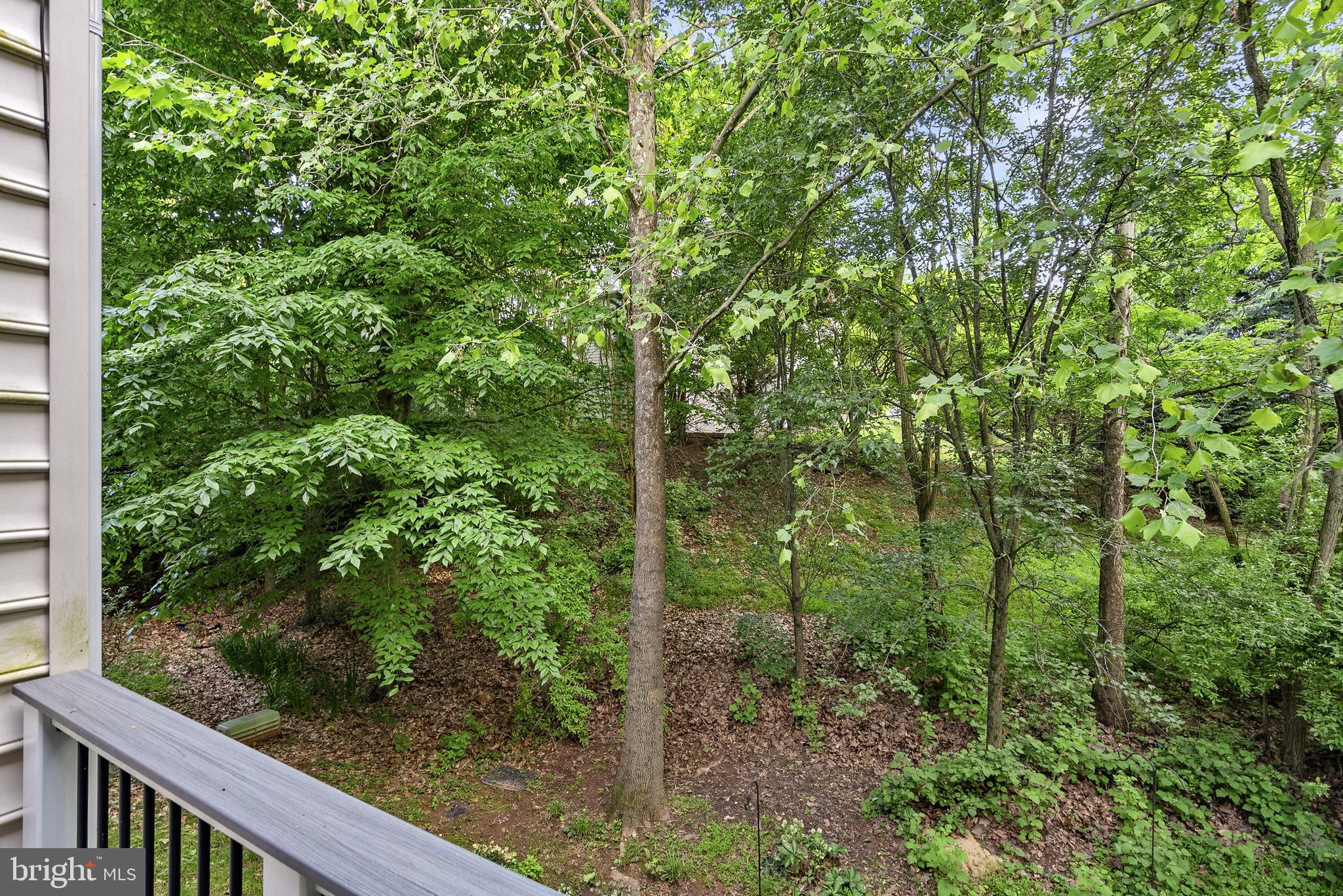 20360 Center Brook Sq