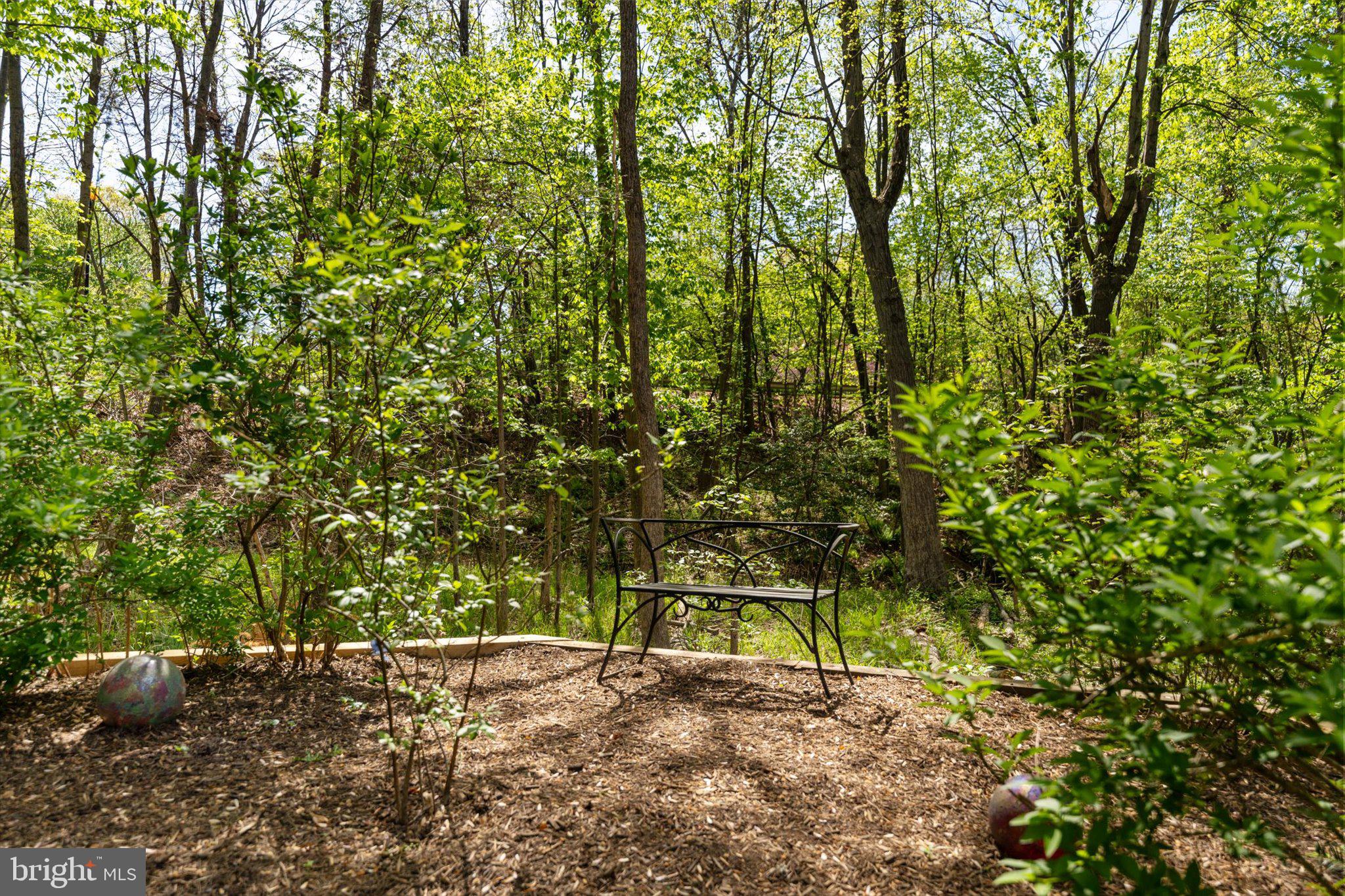 20696 Longbank Ct
