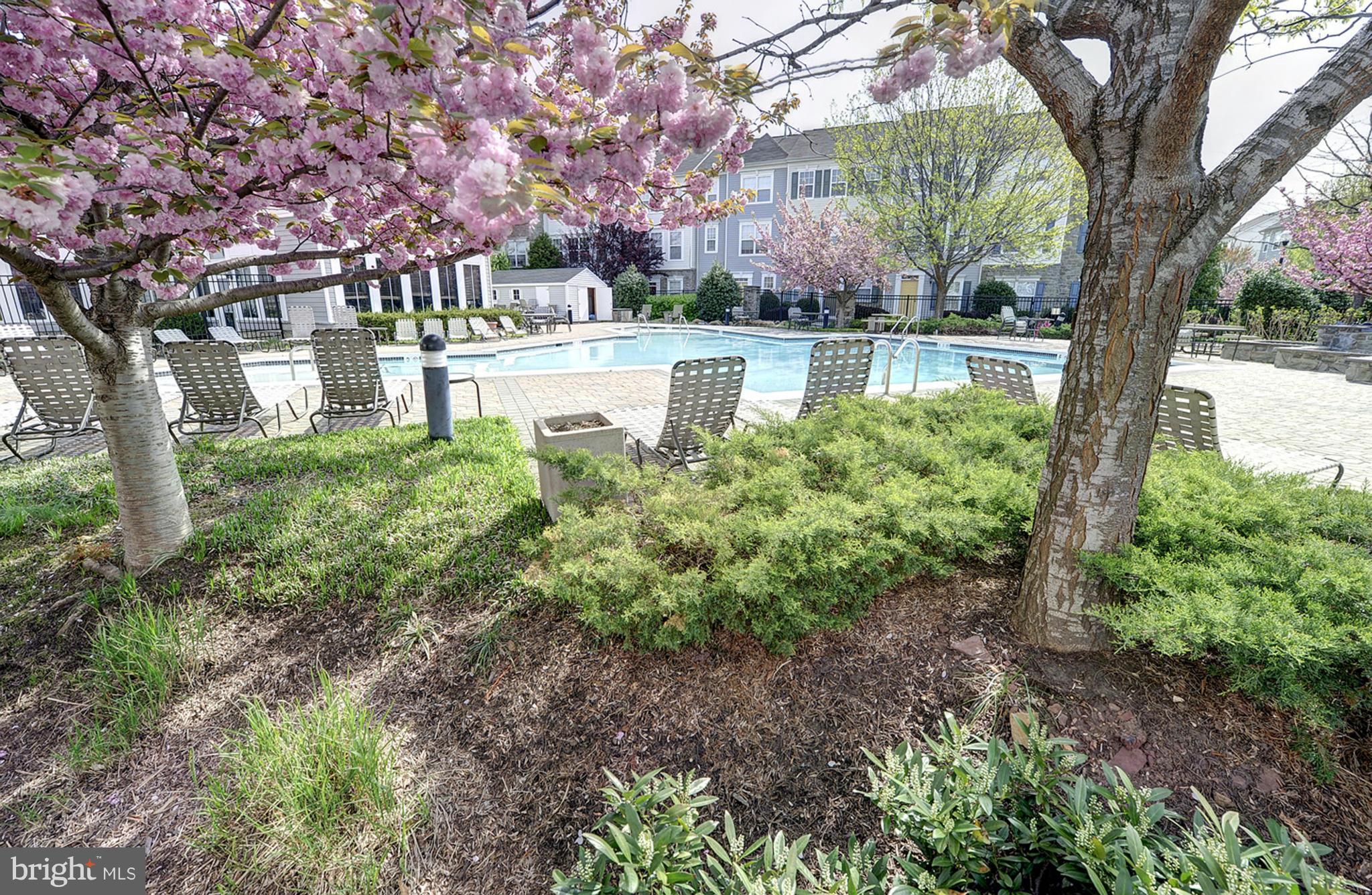 21838 GOODWOOD TERRACE