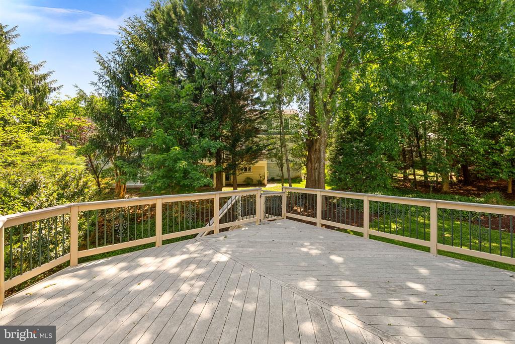 20460 SWAN CREEK COURT