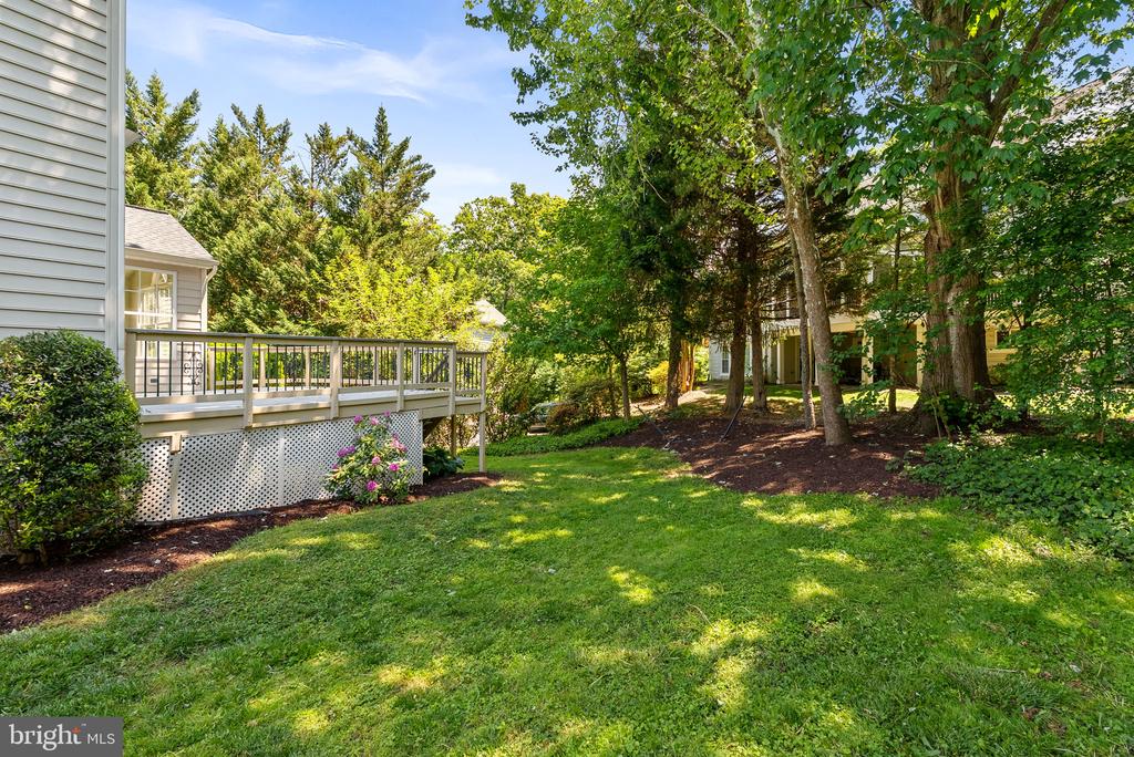 20460 SWAN CREEK COURT