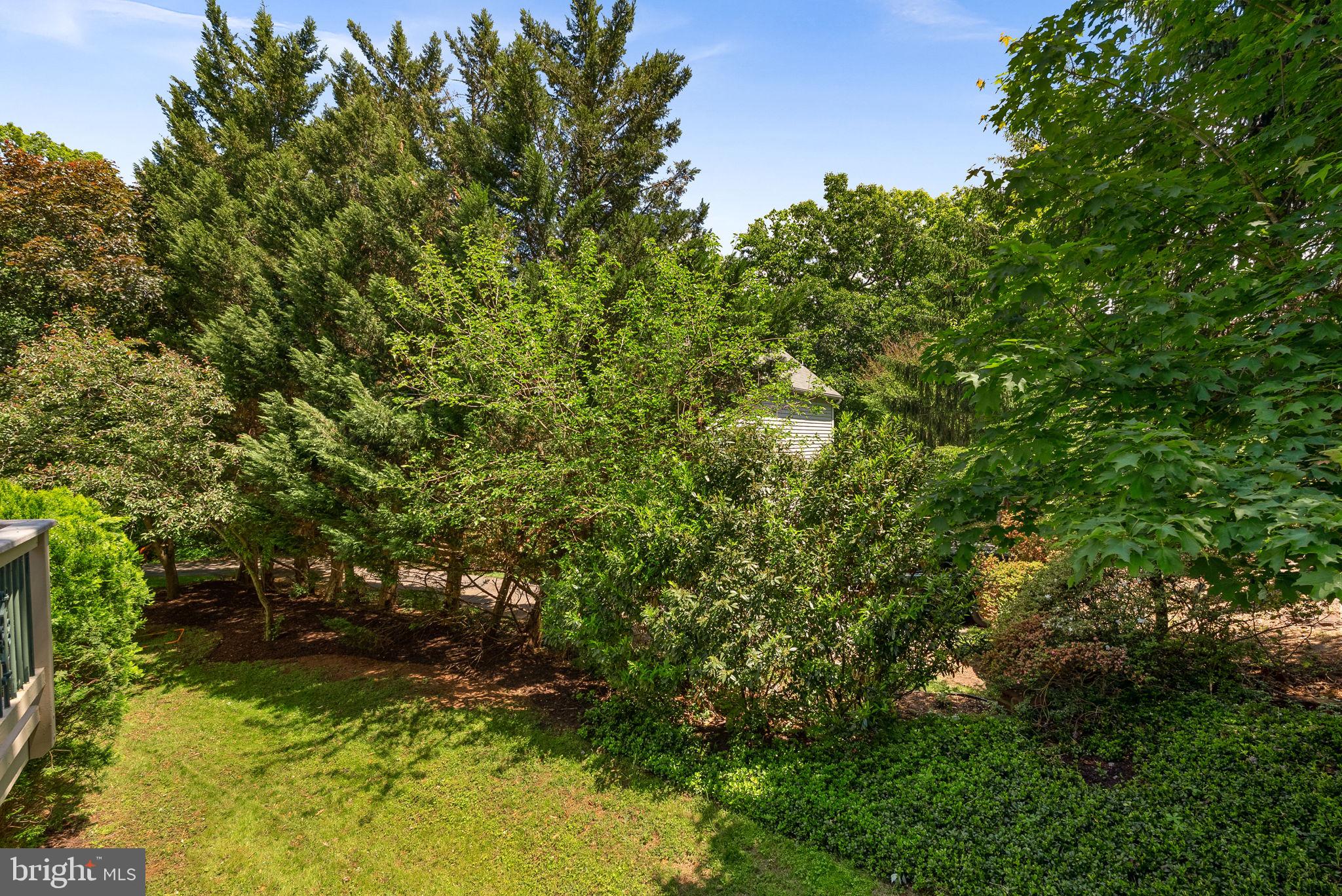 20460 SWAN CREEK COURT