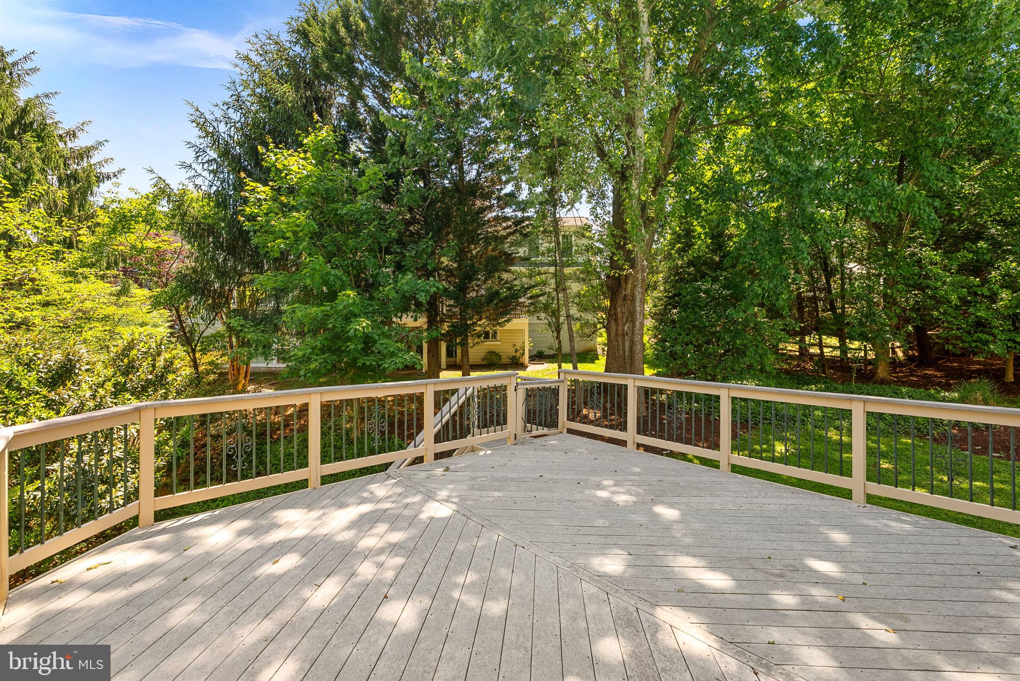20460 SWAN CREEK COURT