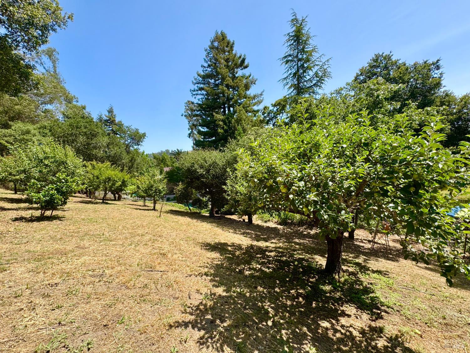 4071 Old Sonoma Rd
