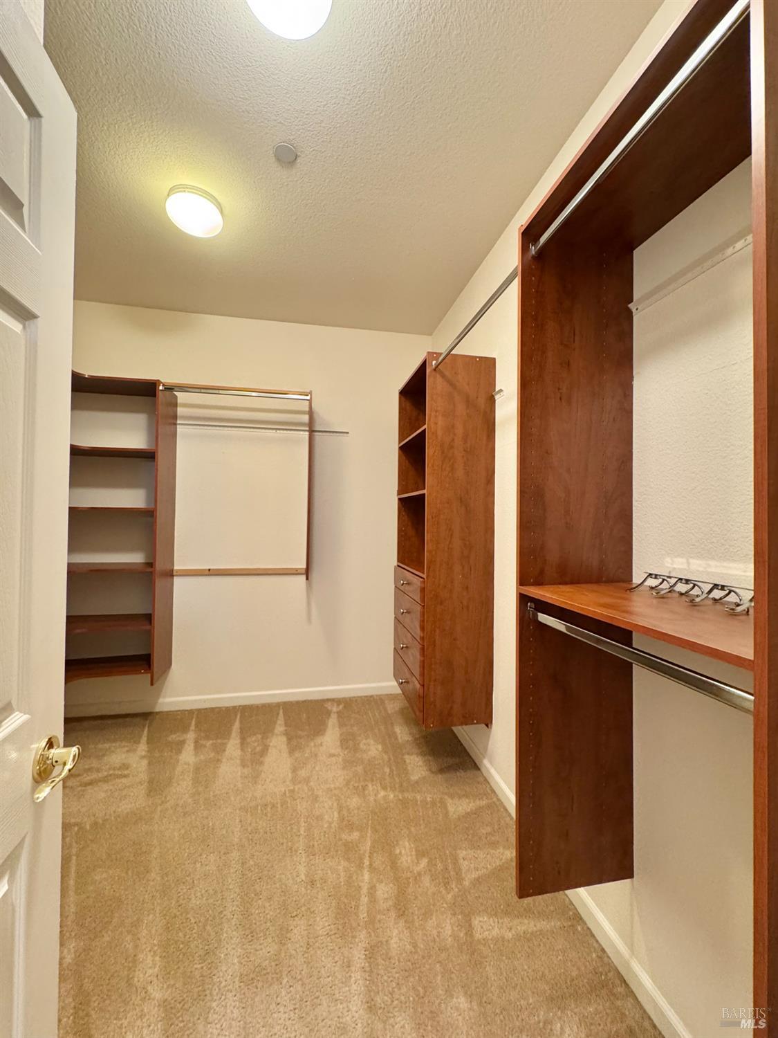 2010 Appollo Ct