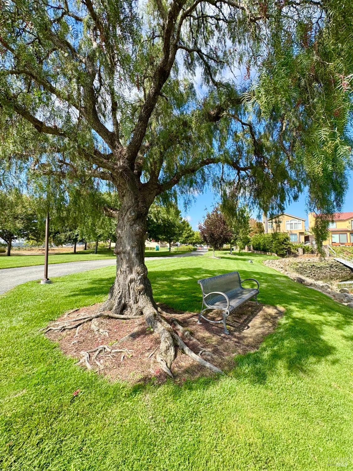 33 Cove Ct