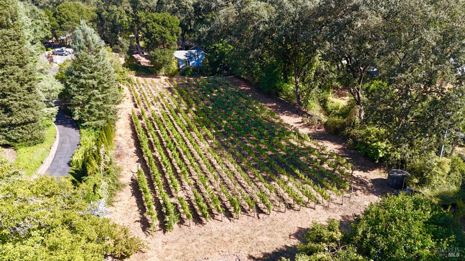 109 Glass Mountain Lane