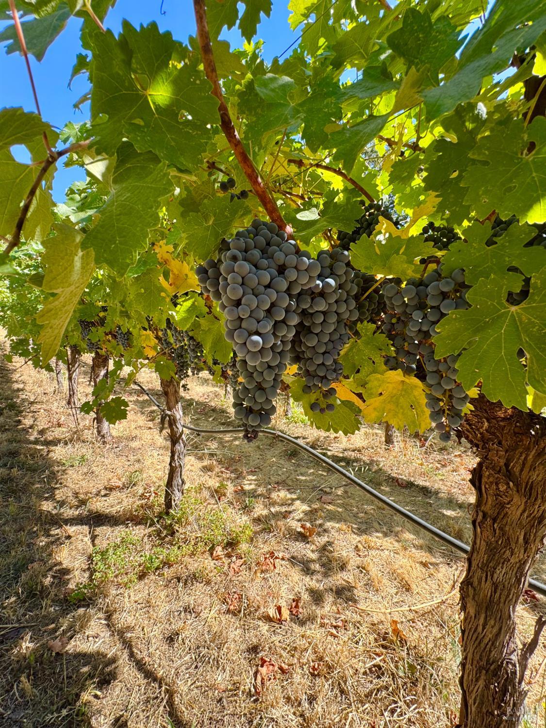 109 Glass Mountain Lane