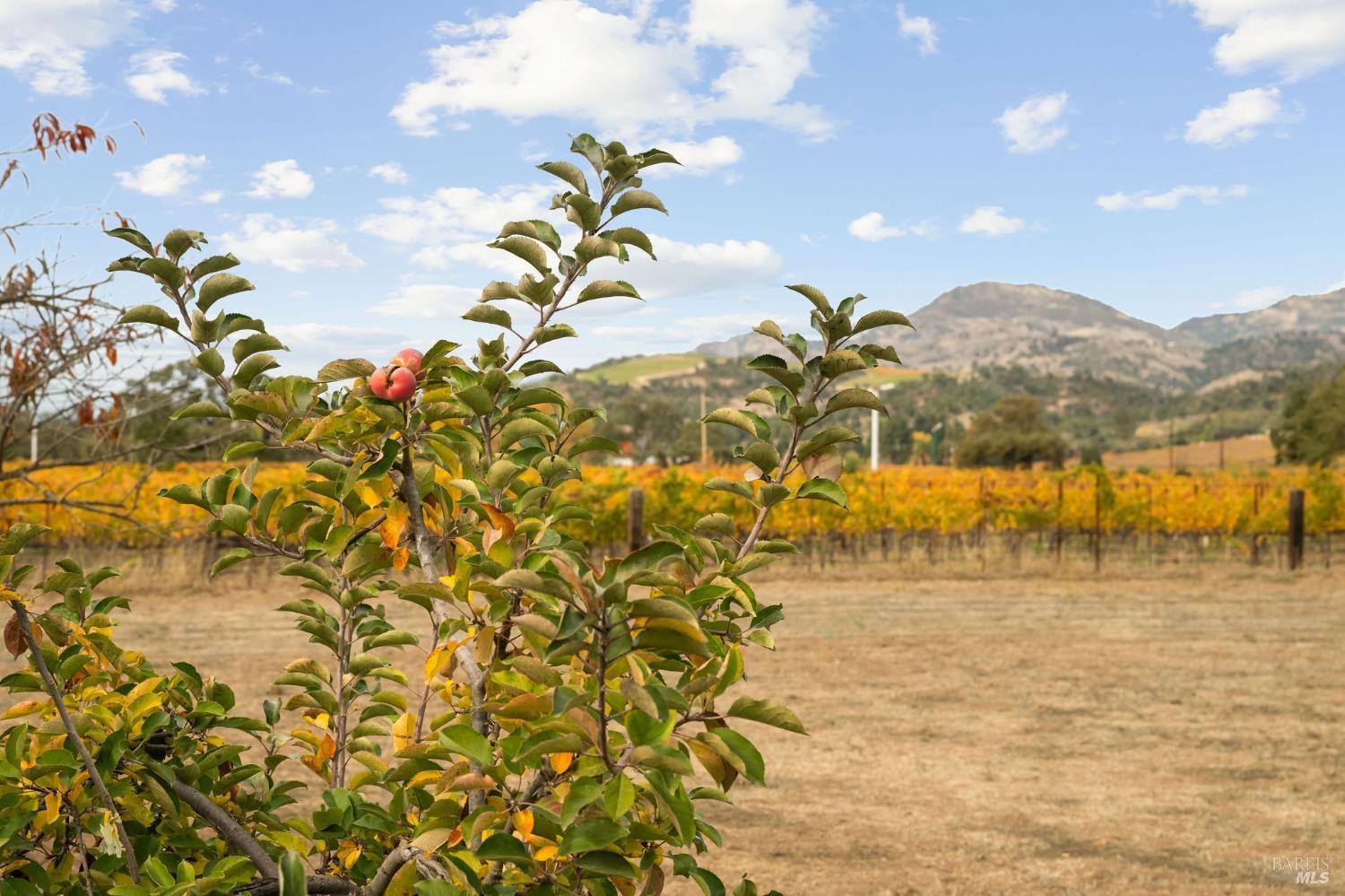 4171 Silverado Trail