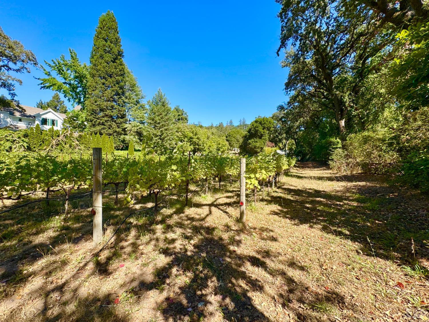 109 Glass Mountain Lane