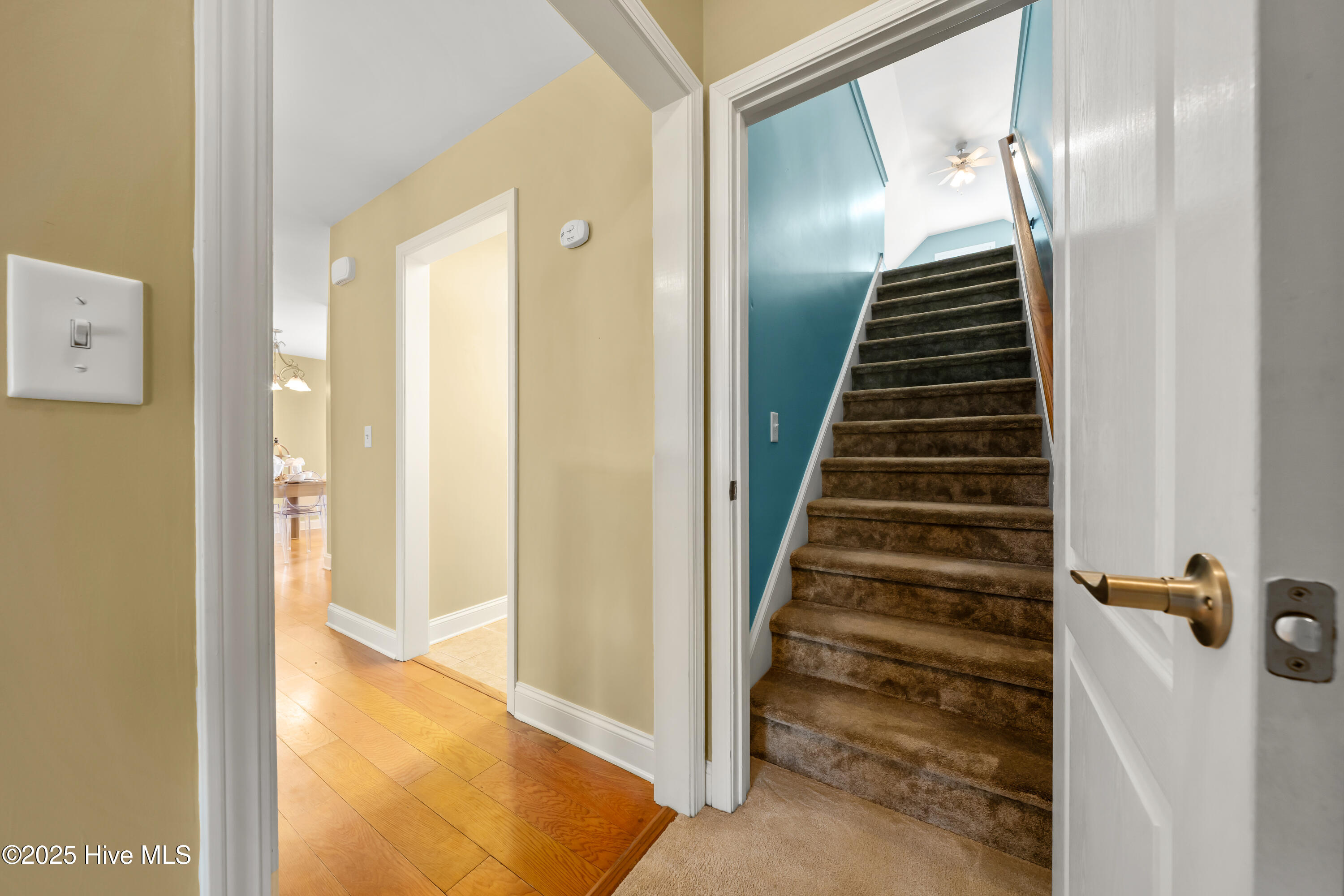 5015 Trumpet Vine Way