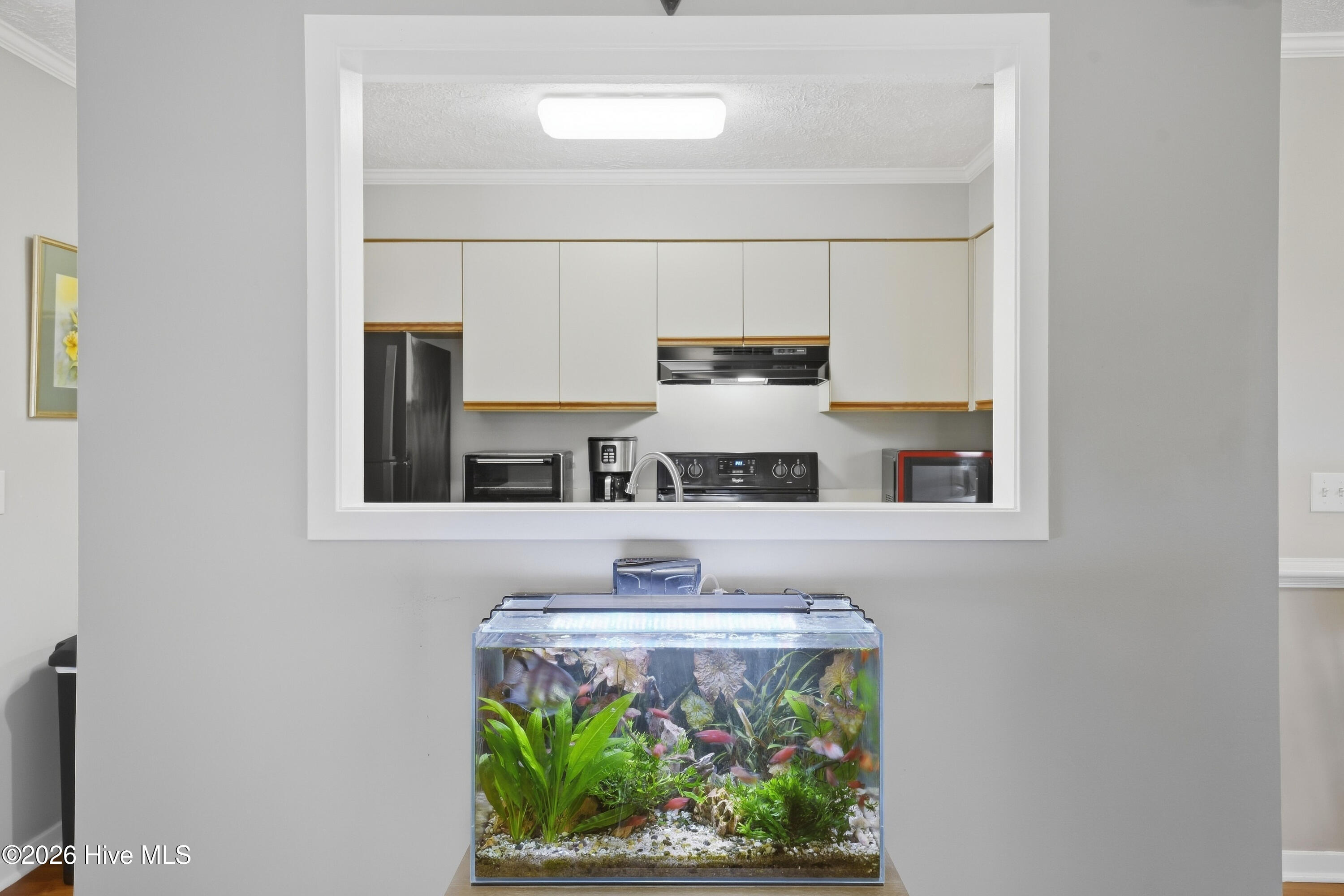115 Longstreet Drive Apt 208