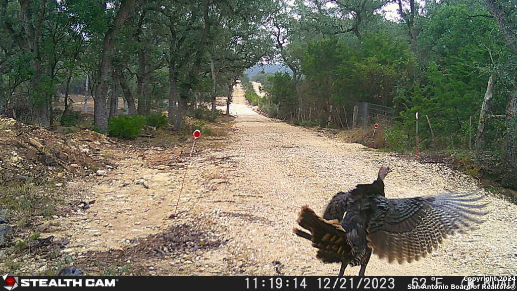 5211 Bump Gate Rd