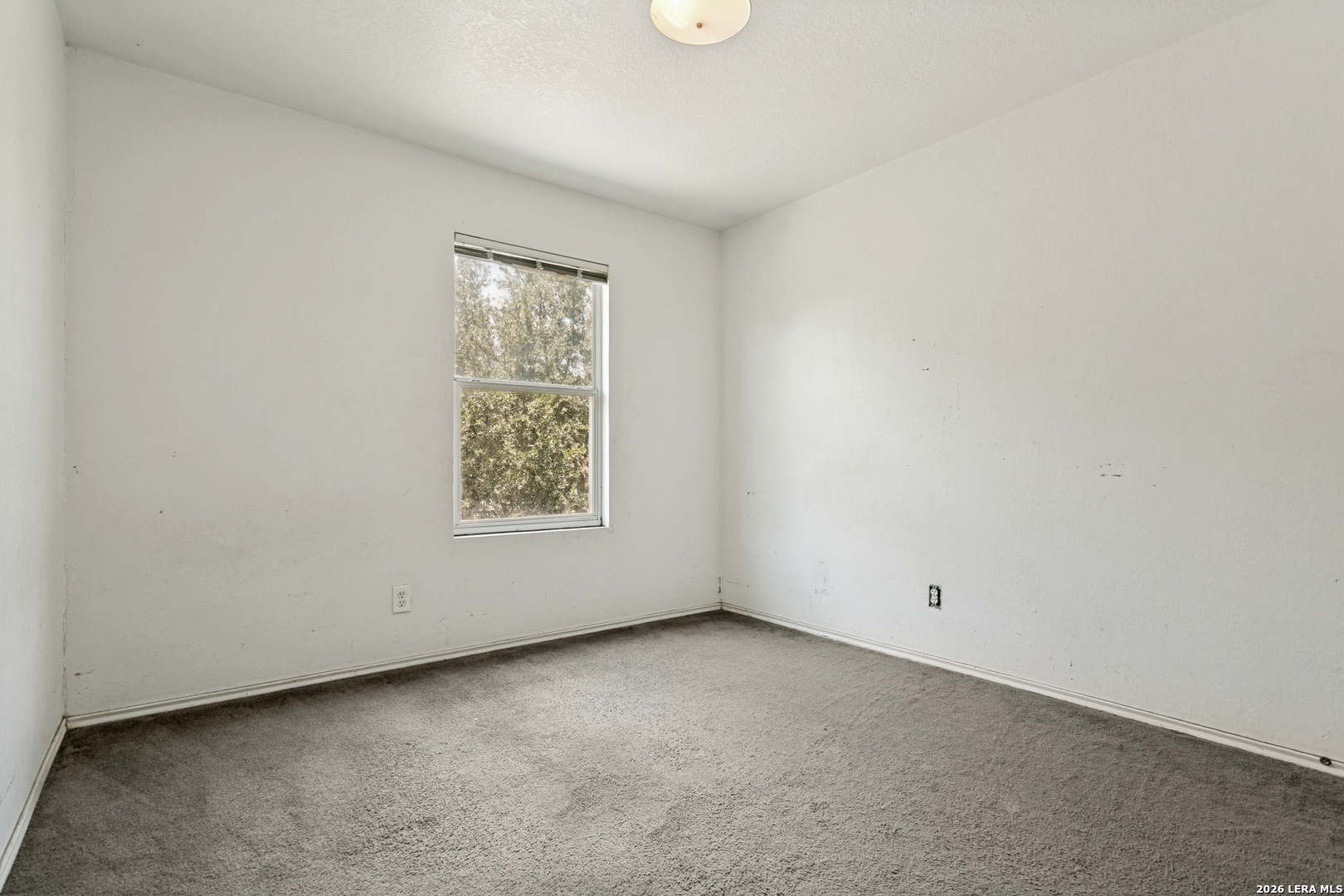 7514 Branching Peak