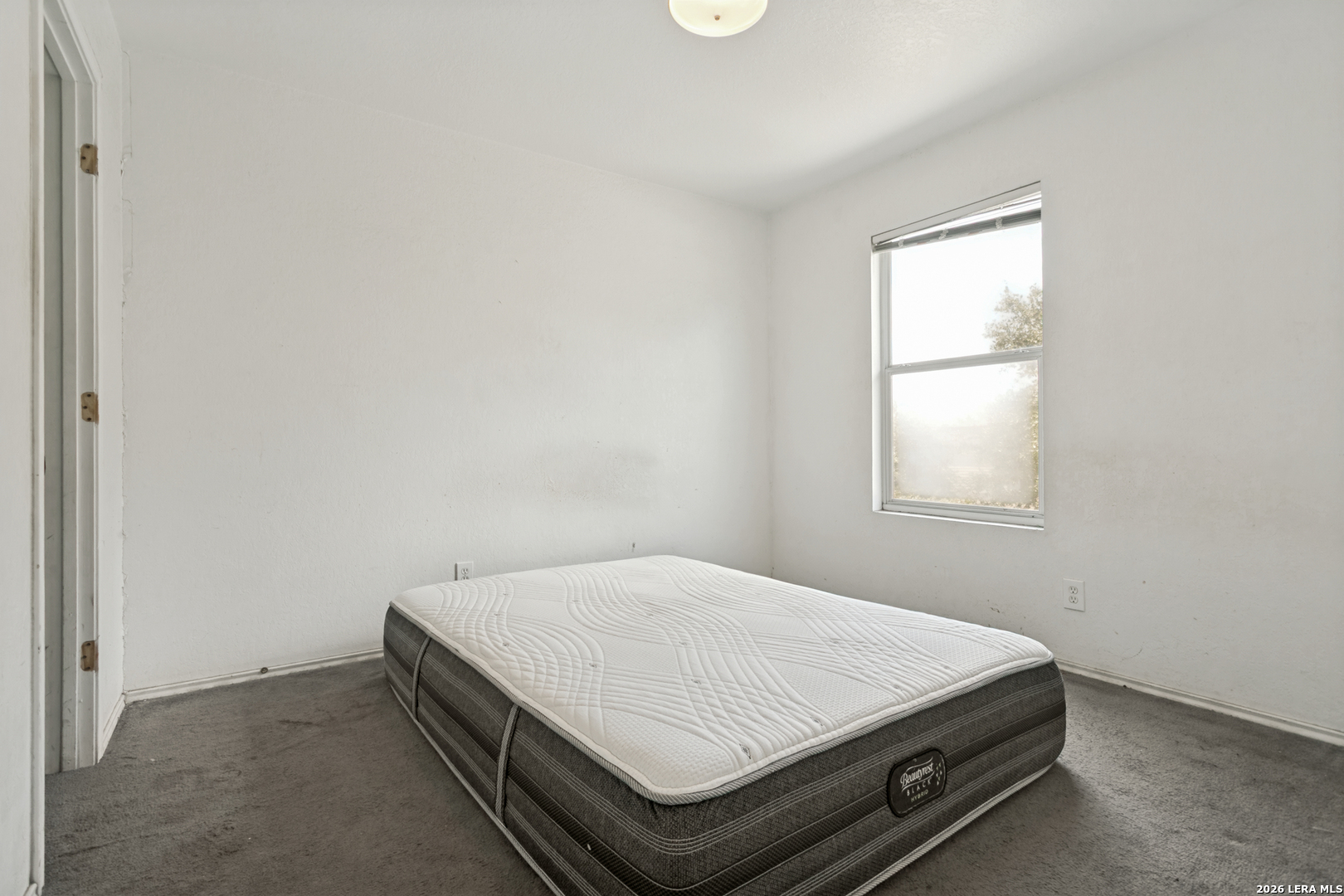 7514 Branching Peak