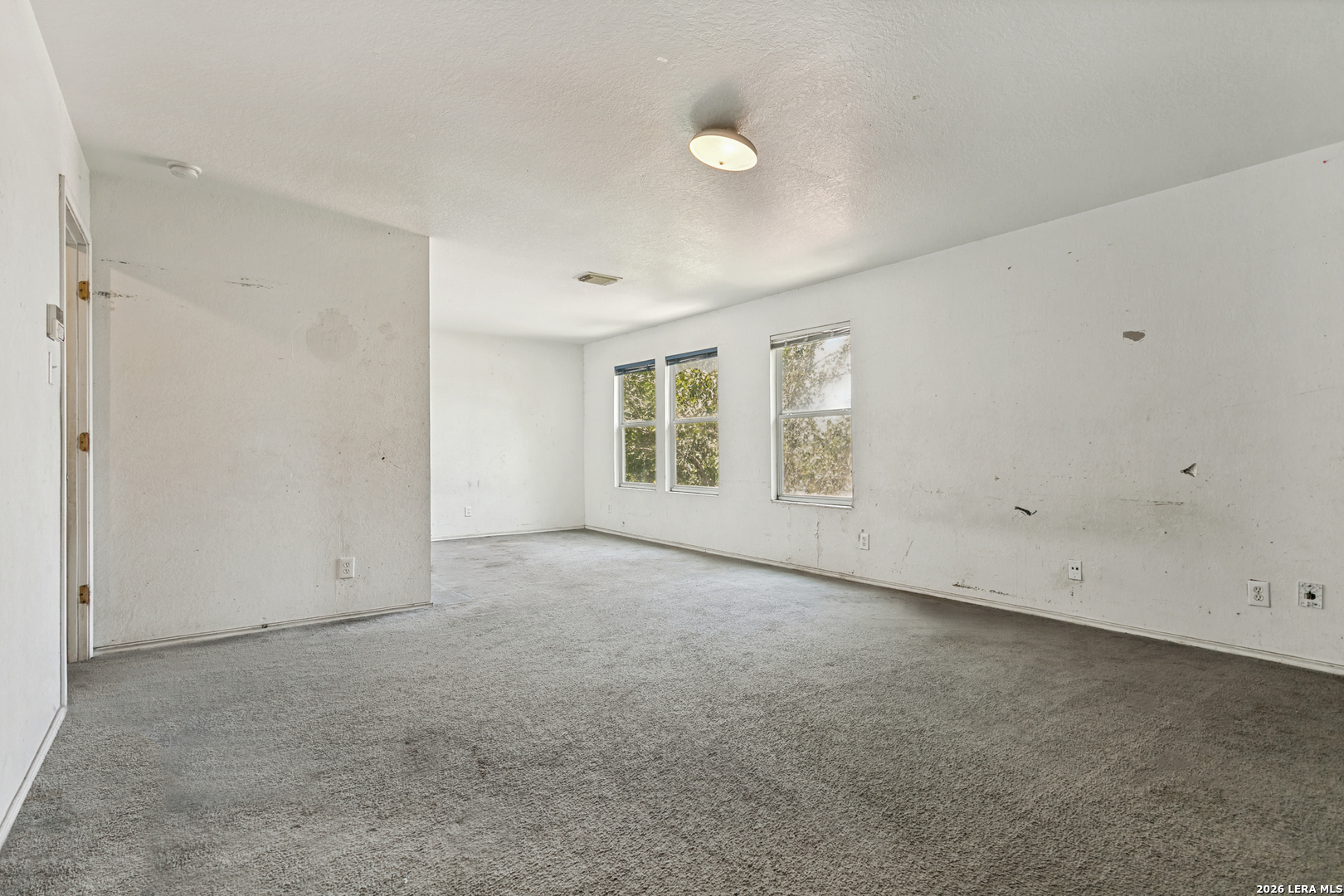 7514 Branching Peak