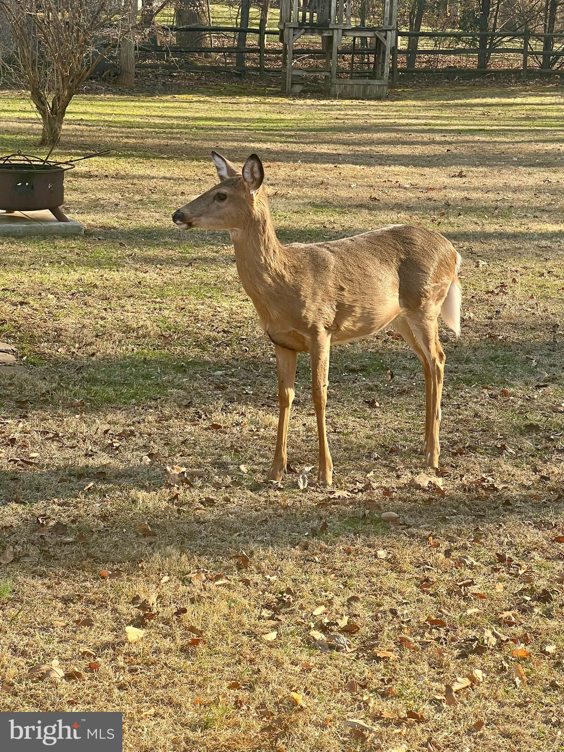 15420 BOB WHITE TRAIL