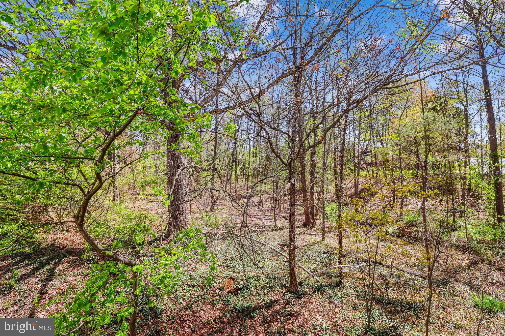 1705 Quietree Dr